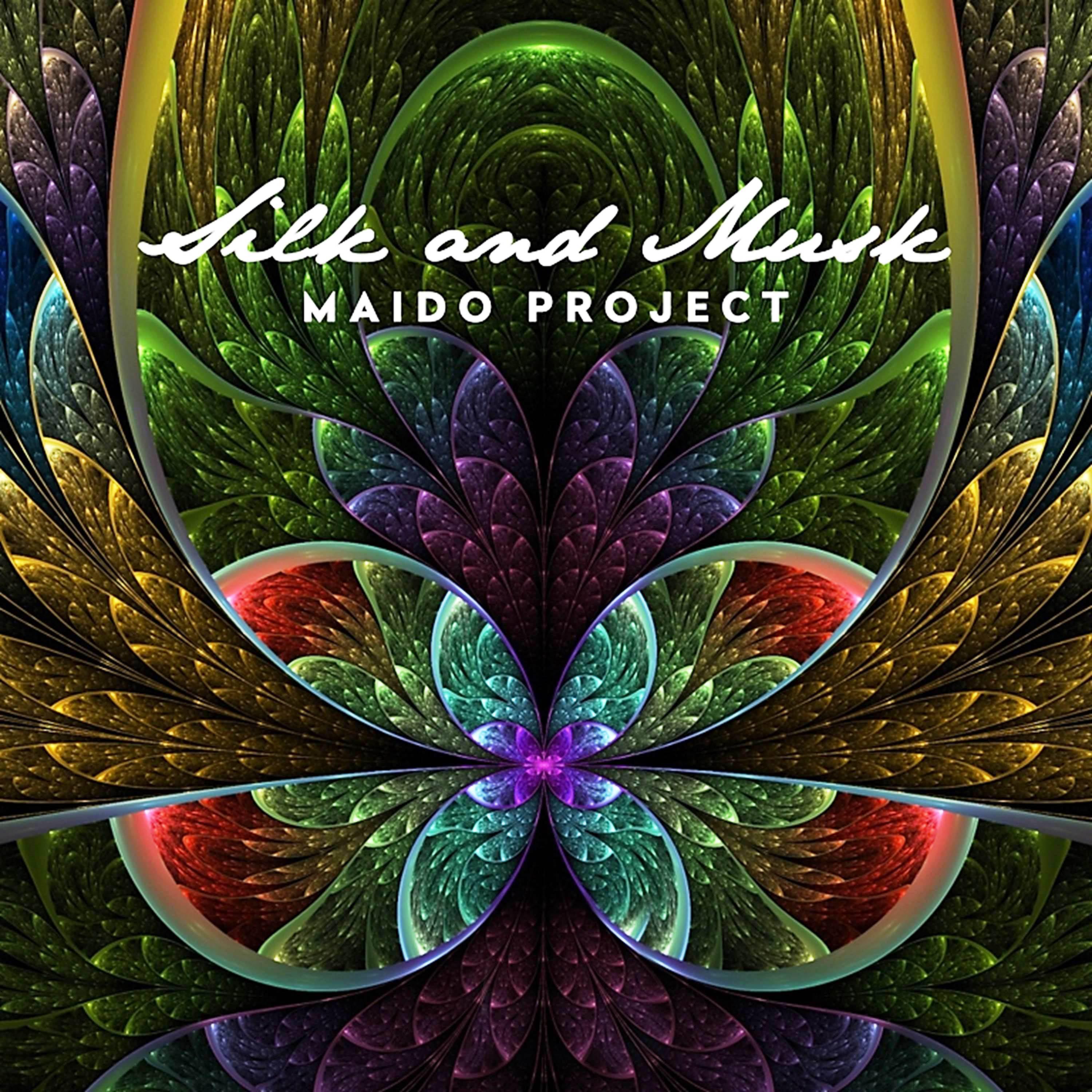 Постер альбома Silk and Musk