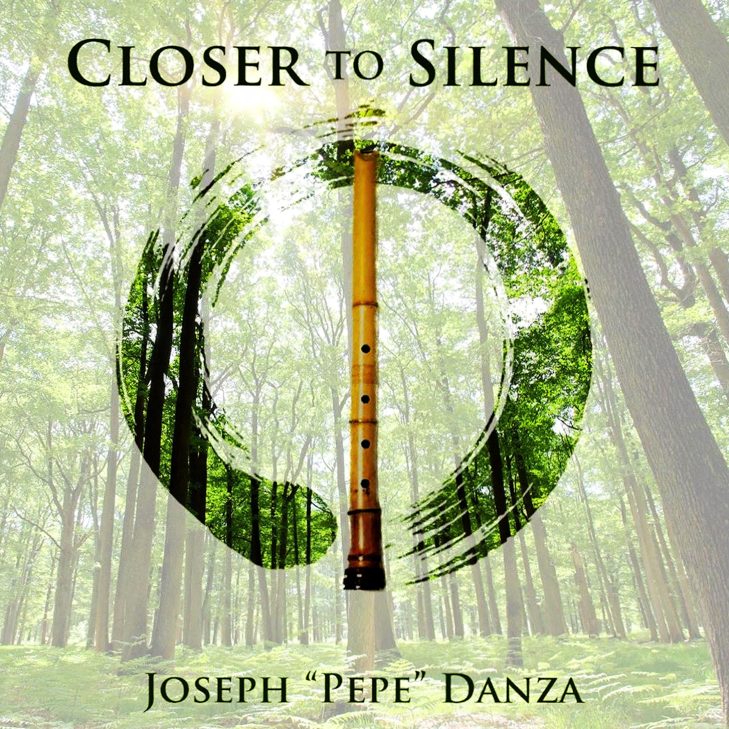 Постер альбома Closer To Silence
