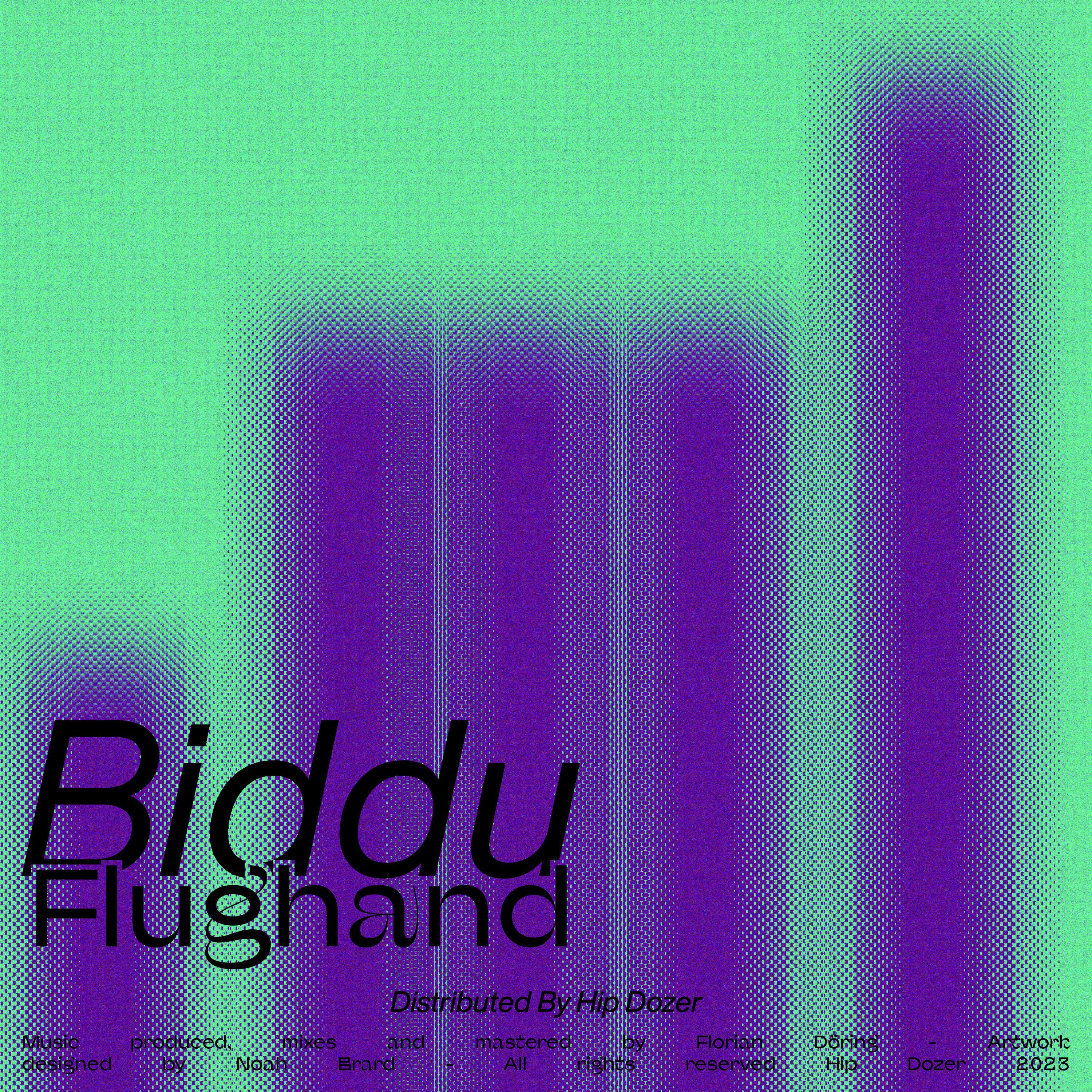Постер альбома biddu