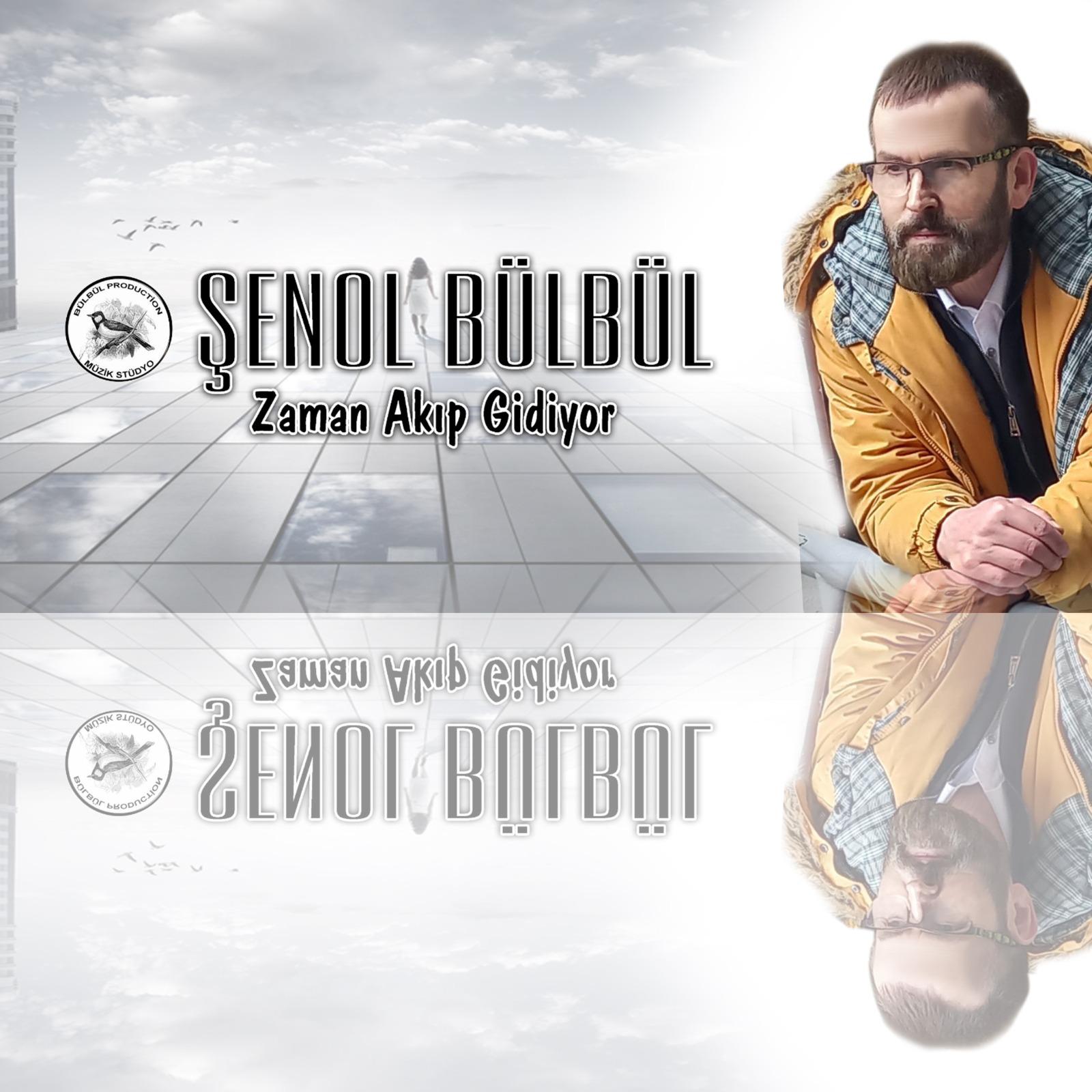 Постер альбома Zaman Akıp Gidiyor