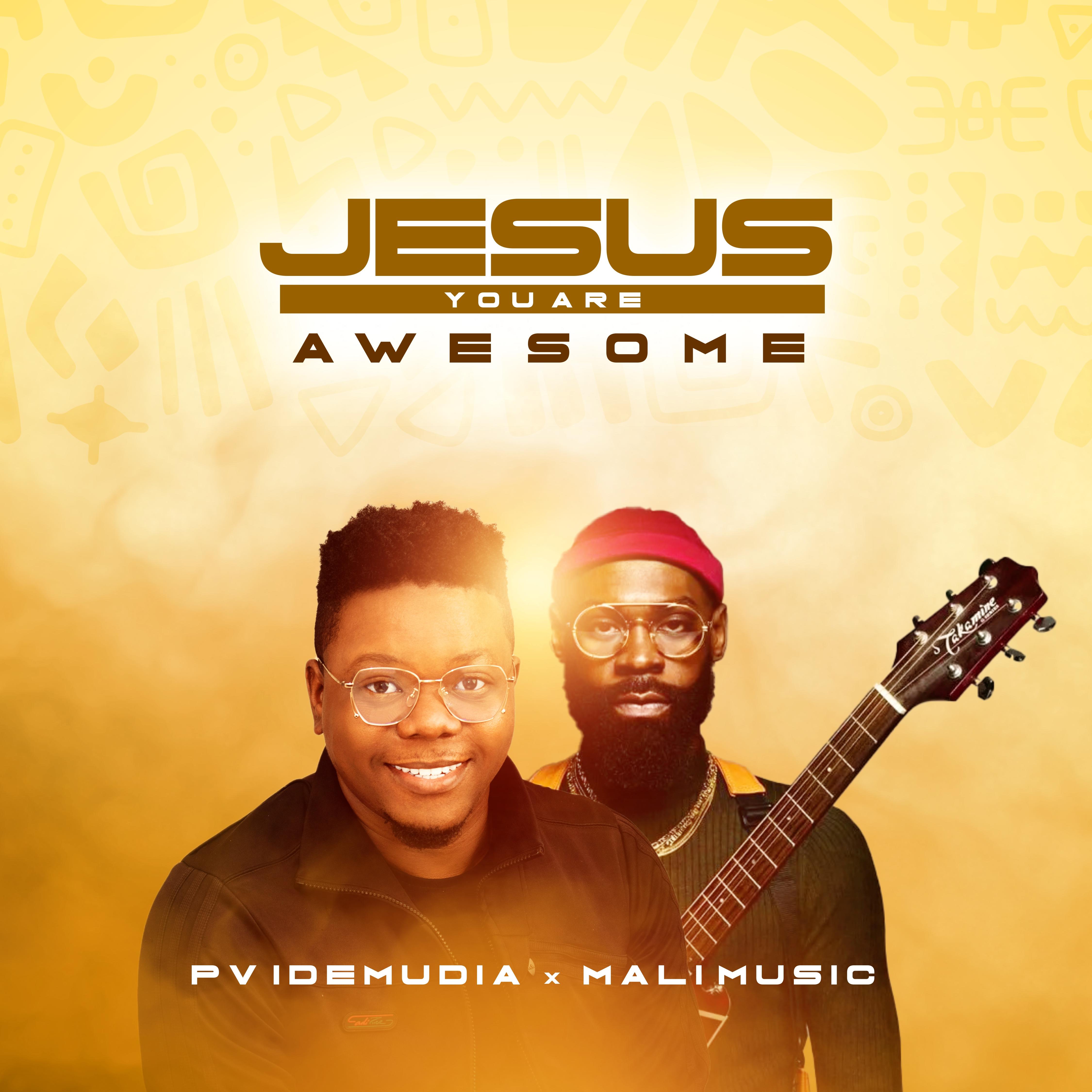 Постер альбома Jesus You Are Awesome