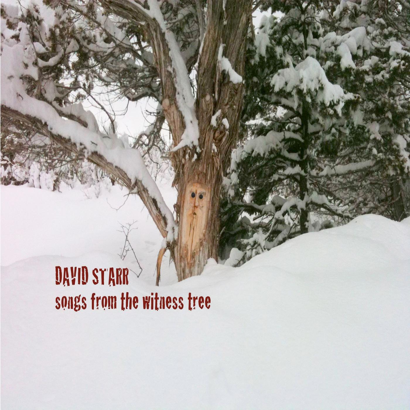 David Starr - Everything Is Made in China