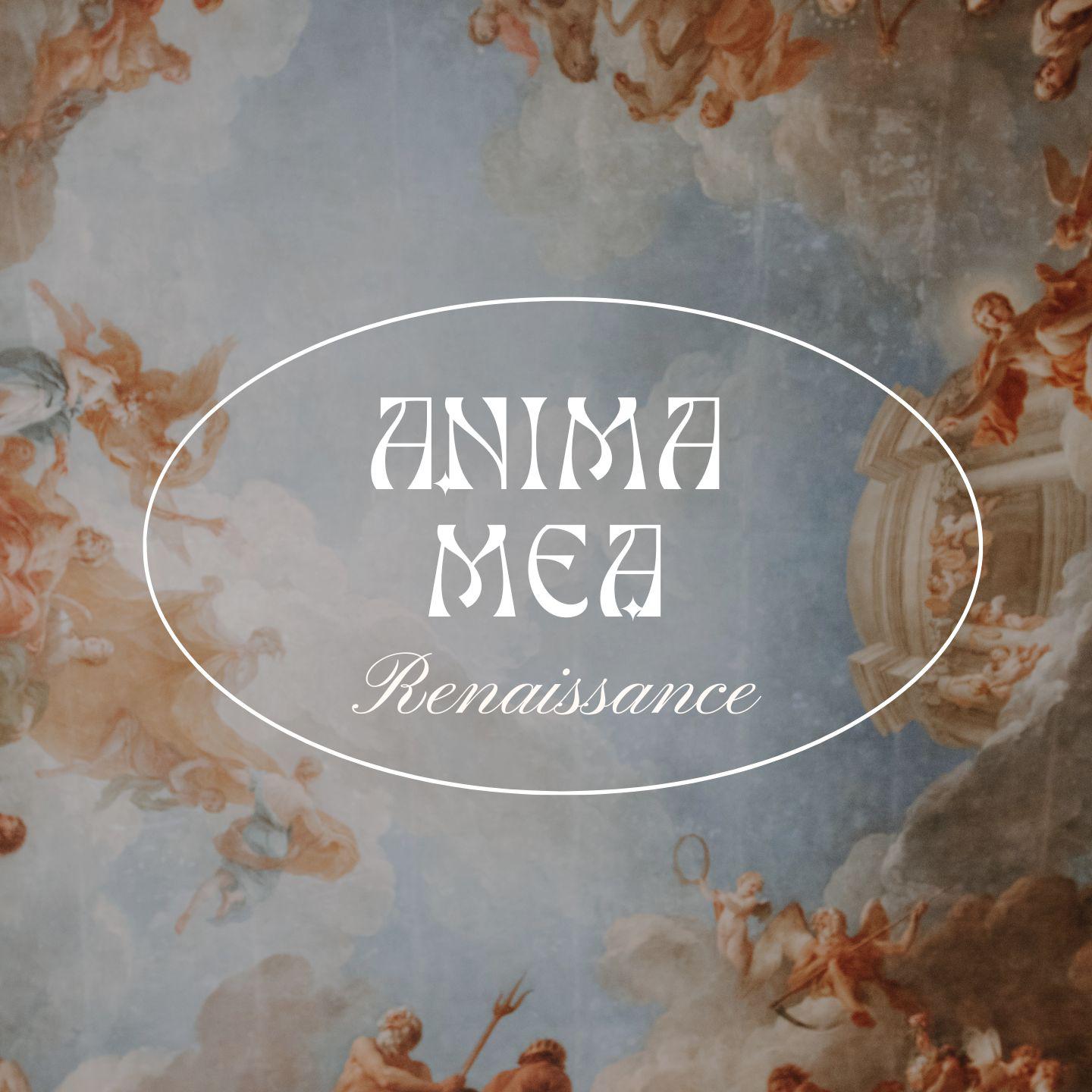 Постер альбома Anima Mea - Renaissance