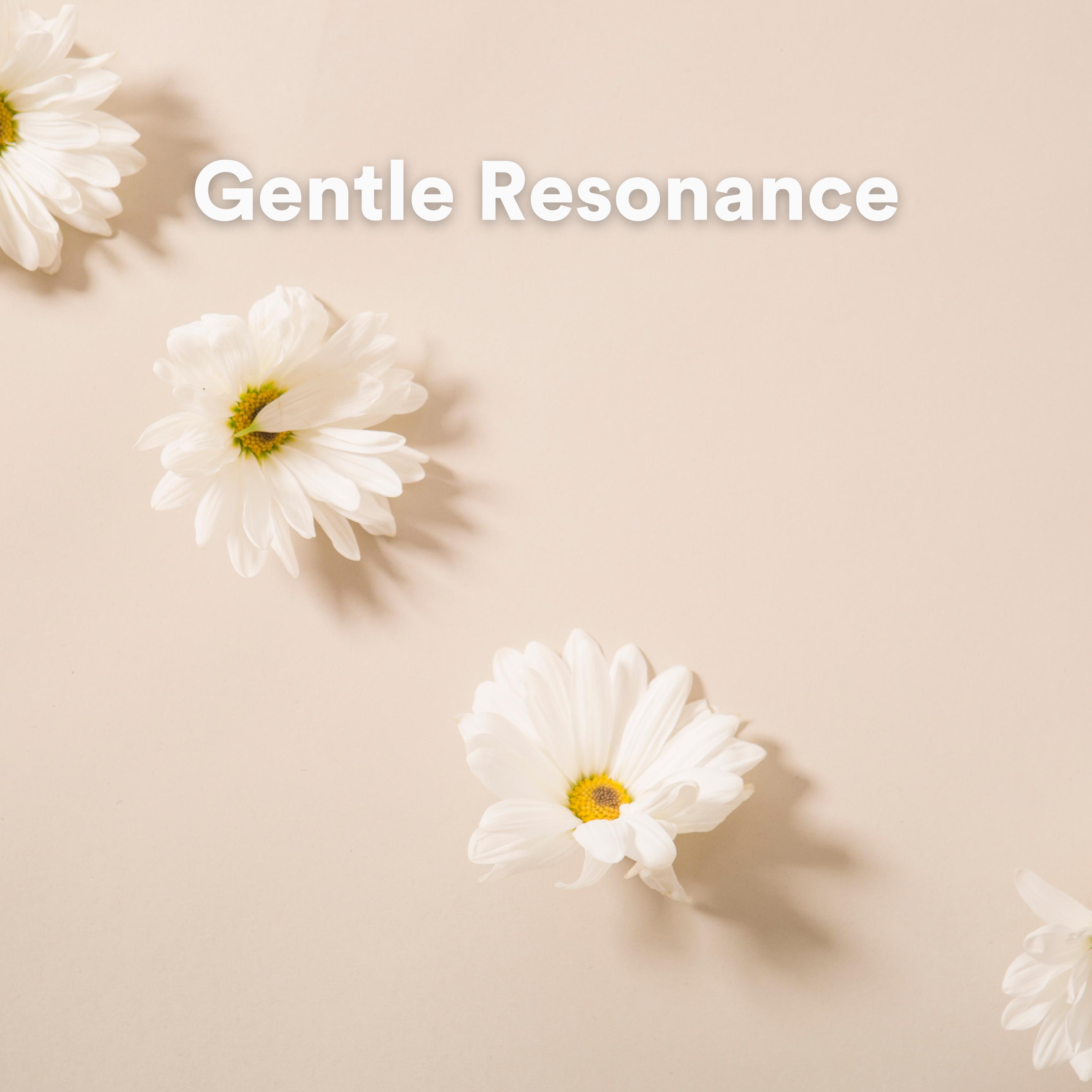 Постер альбома Gentle Resonance