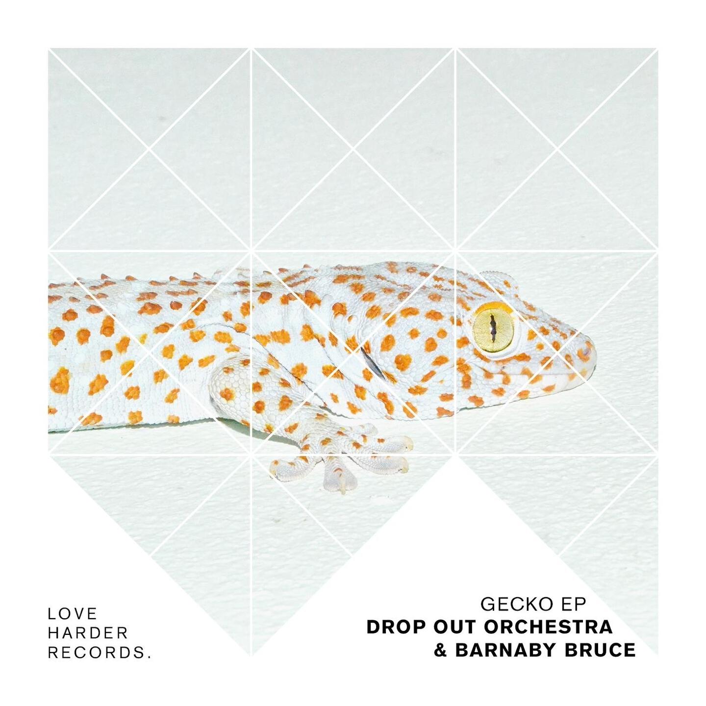 Drop Out Orchestra - Gecko (Alex Mallios & Guardate Laughing Remix)