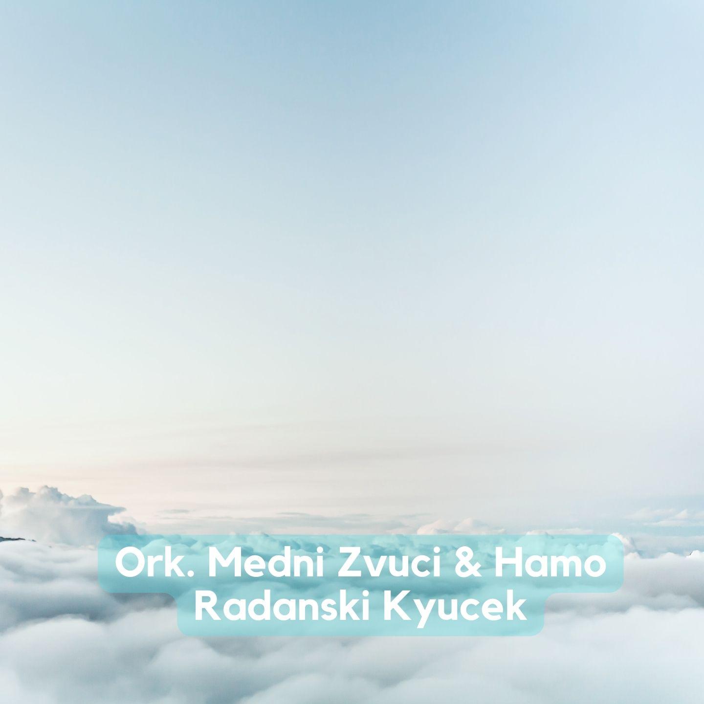 Постер альбома Radanski kyucek
