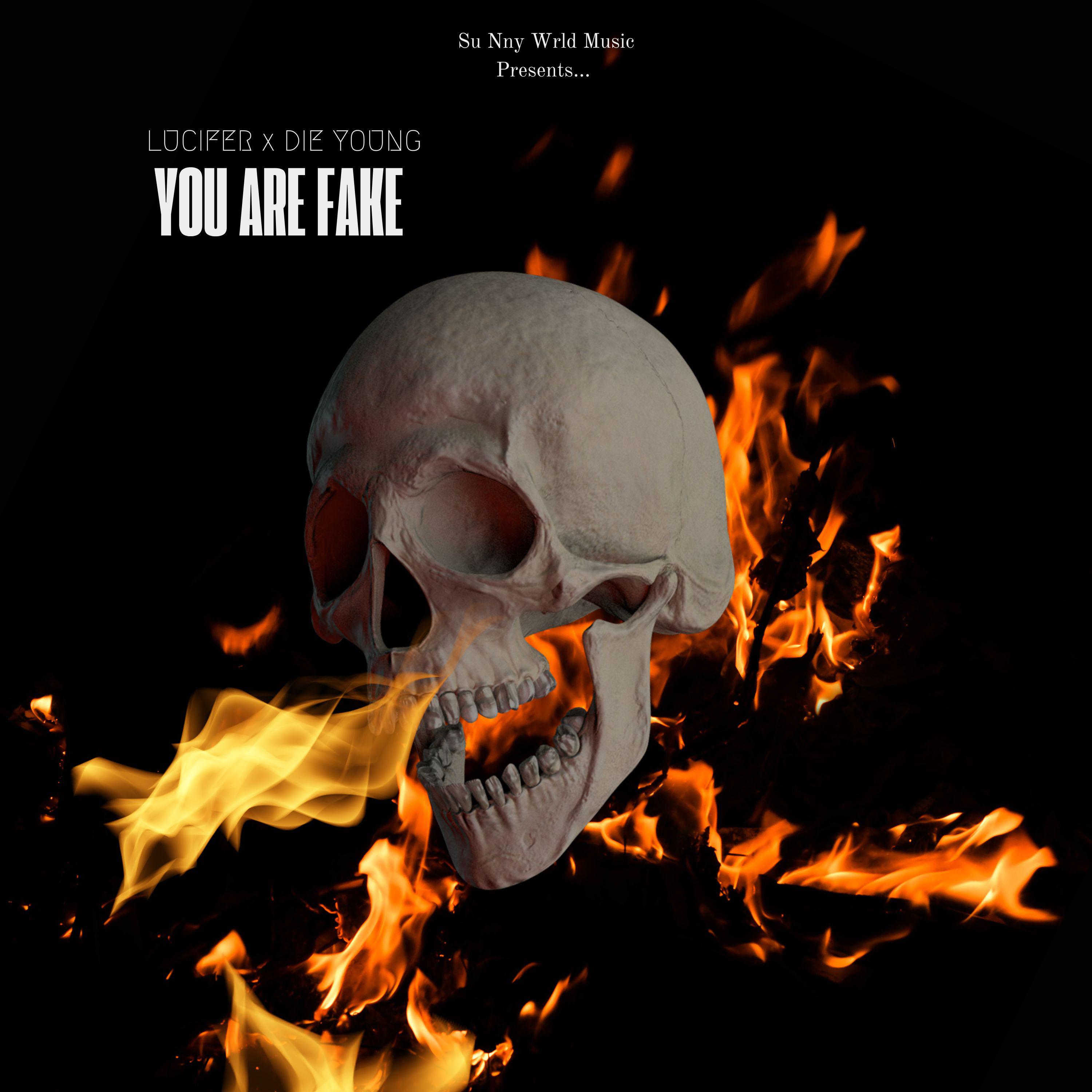 Постер альбома You Are Fake