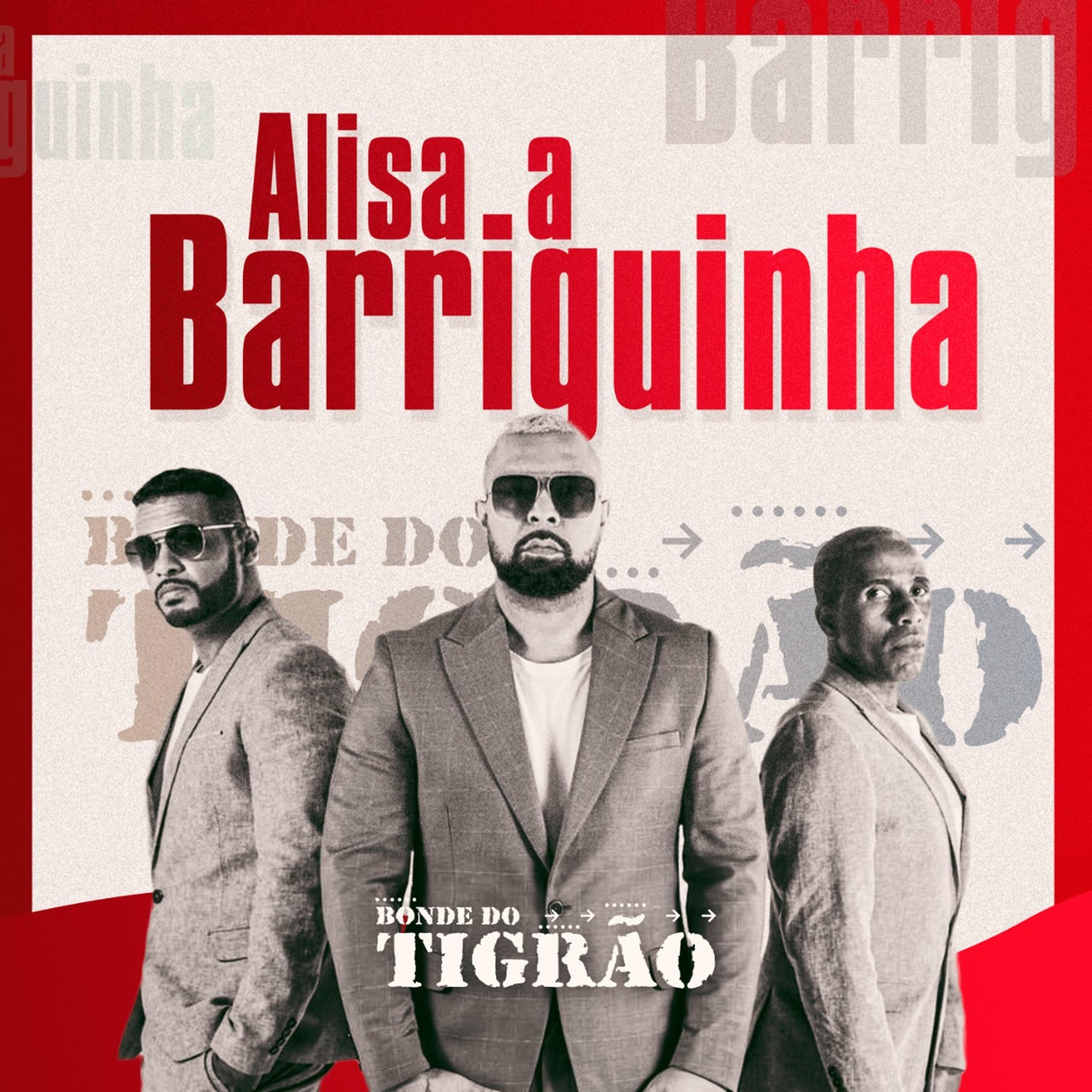 Постер альбома Alisa a Barriguinha