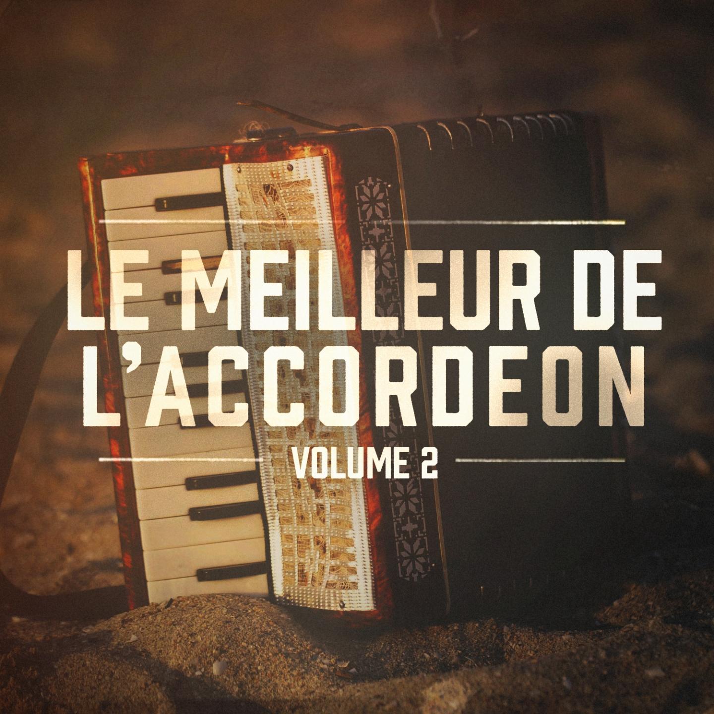 Постер альбома Le meilleur de l'accordéon, Vol. 2