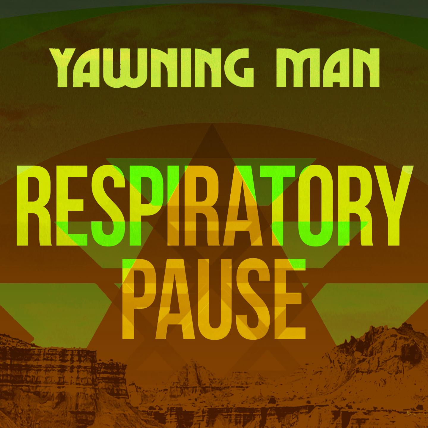 Постер альбома Respiratory Pause
