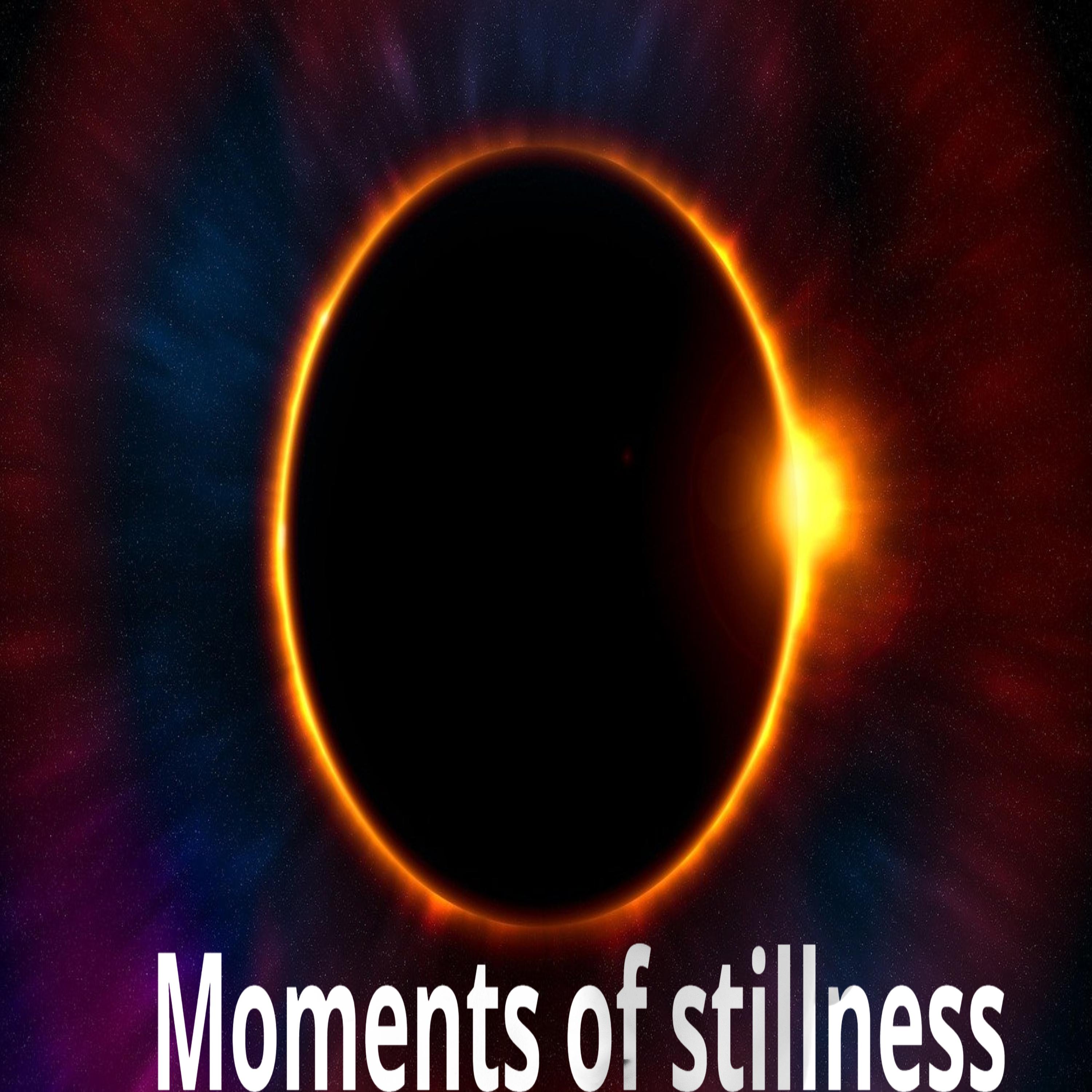Постер альбома Moments of stillness