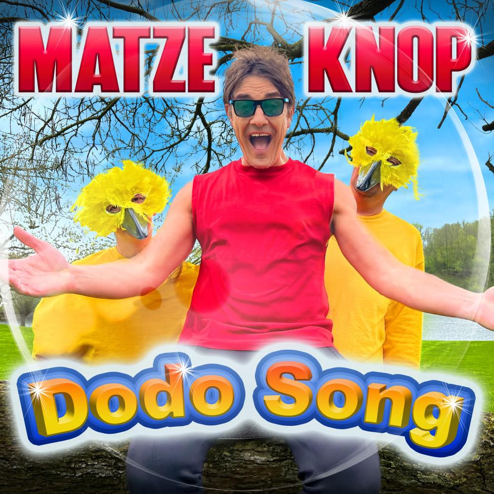 Постер альбома Dodo Song