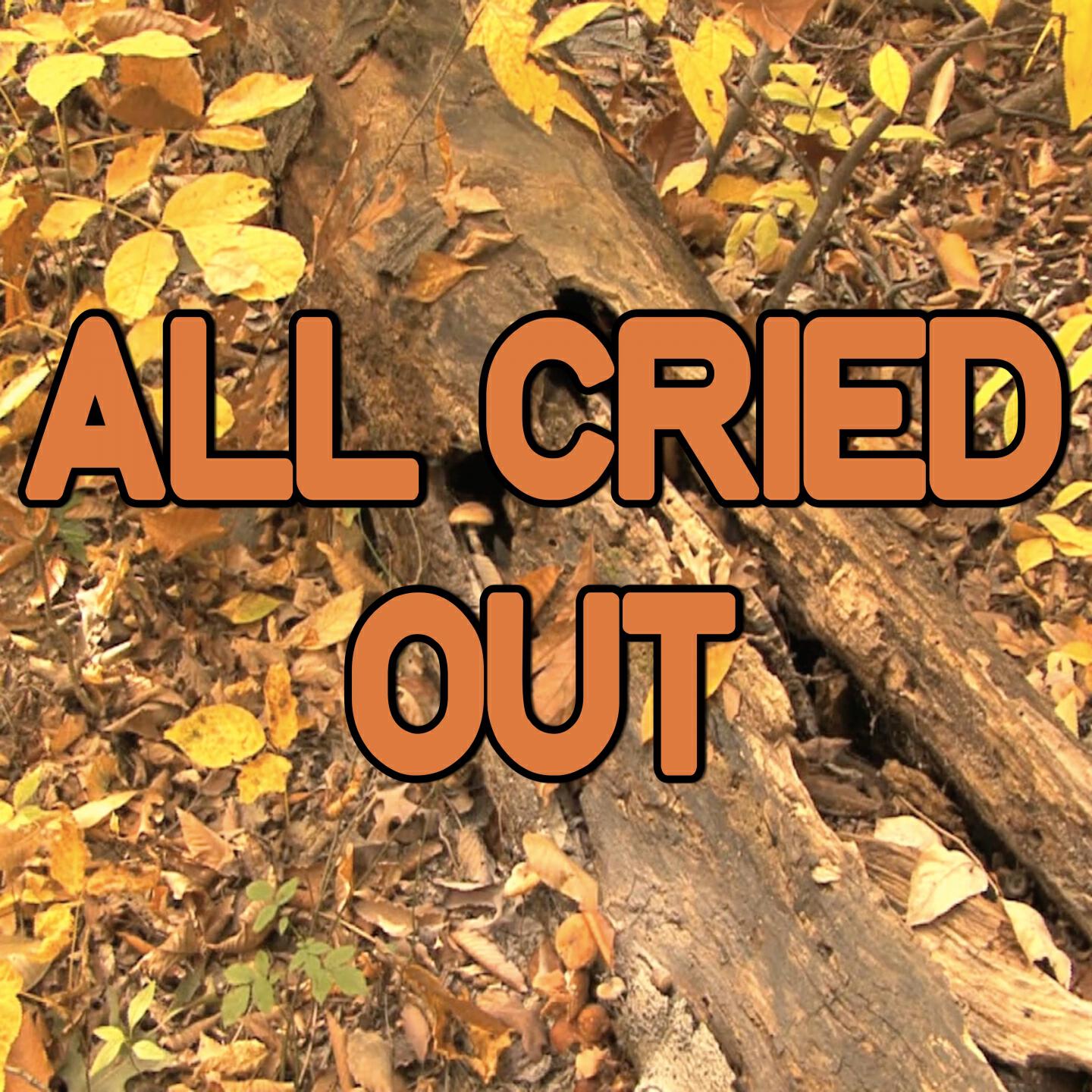 Swift Hits - All Cried Out - Tribute to Blonde and Alex Newell (Instrumental Version)