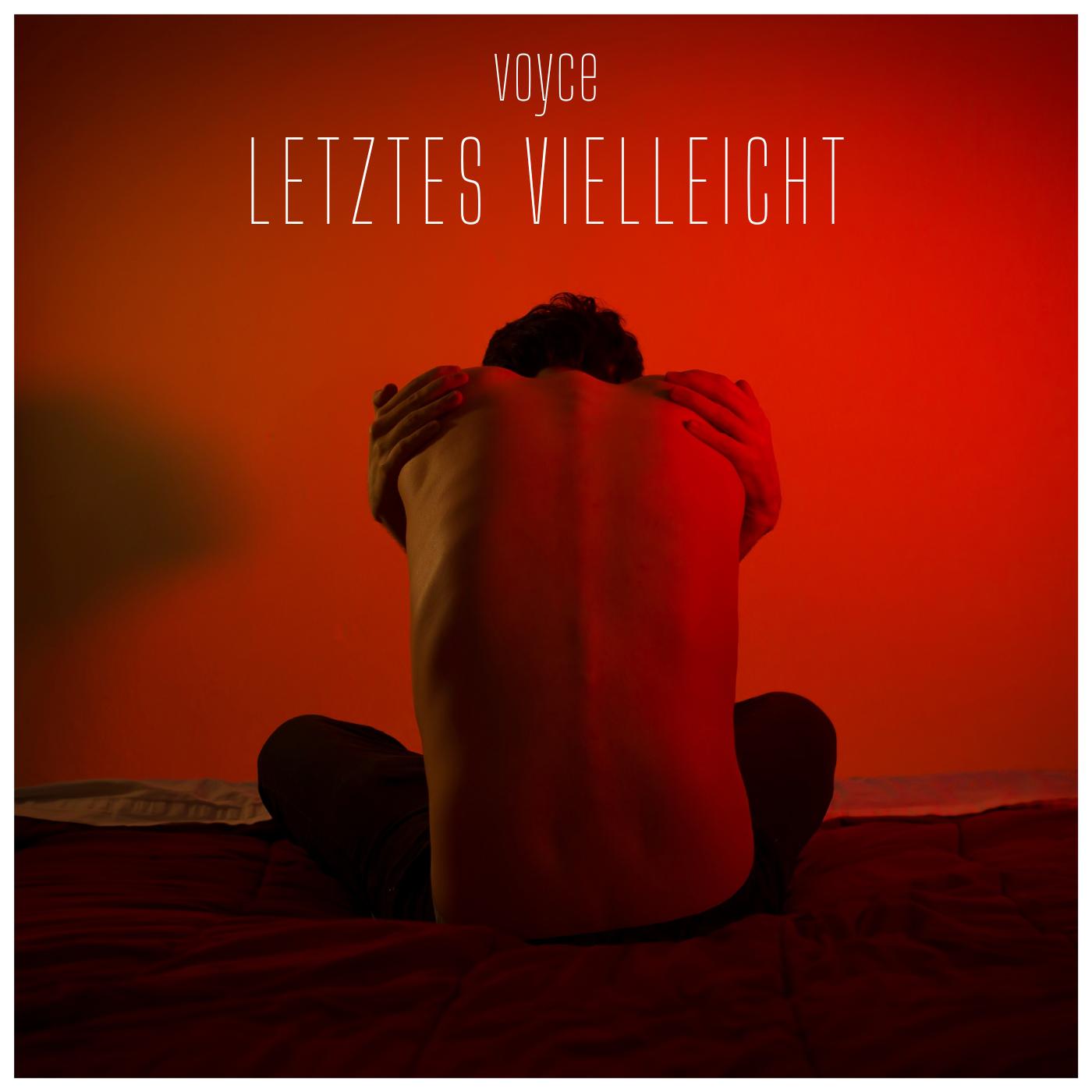 Постер альбома Letztes Vielleicht