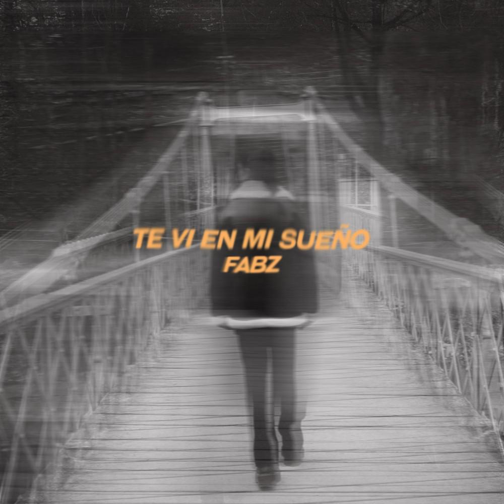 Постер альбома Te Vi en Mi Sueño