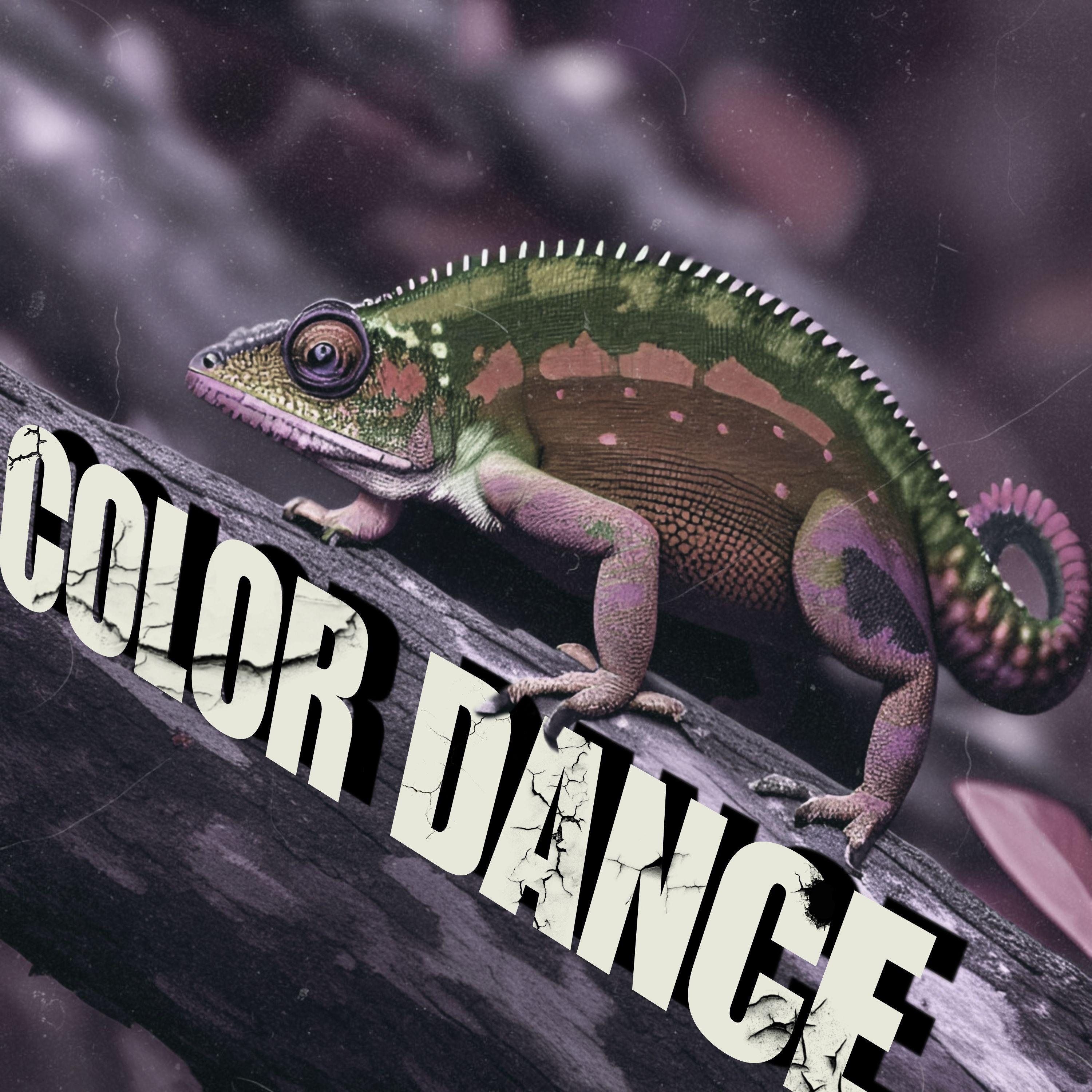 Постер альбома COLOR DANCE