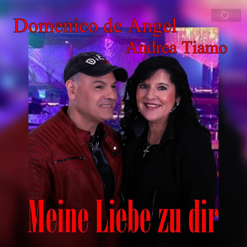 Постер альбома Meine Liebe zu dir (Maxi)