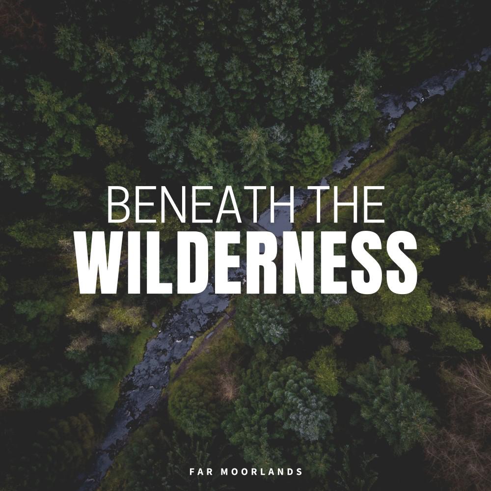 Постер альбома Beneath the Wilderness