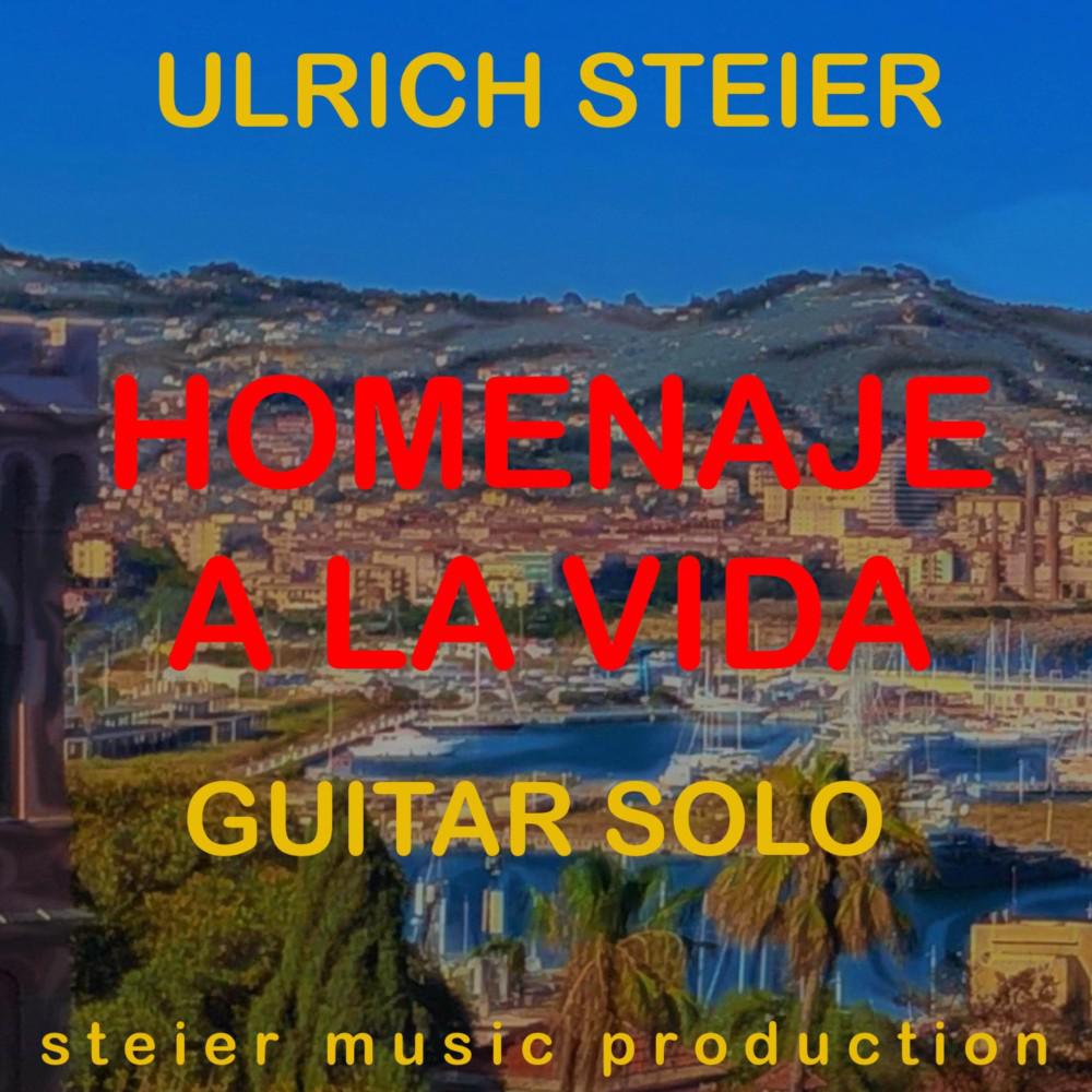 Постер альбома Homenaje a la Vida (Guitar Solo)