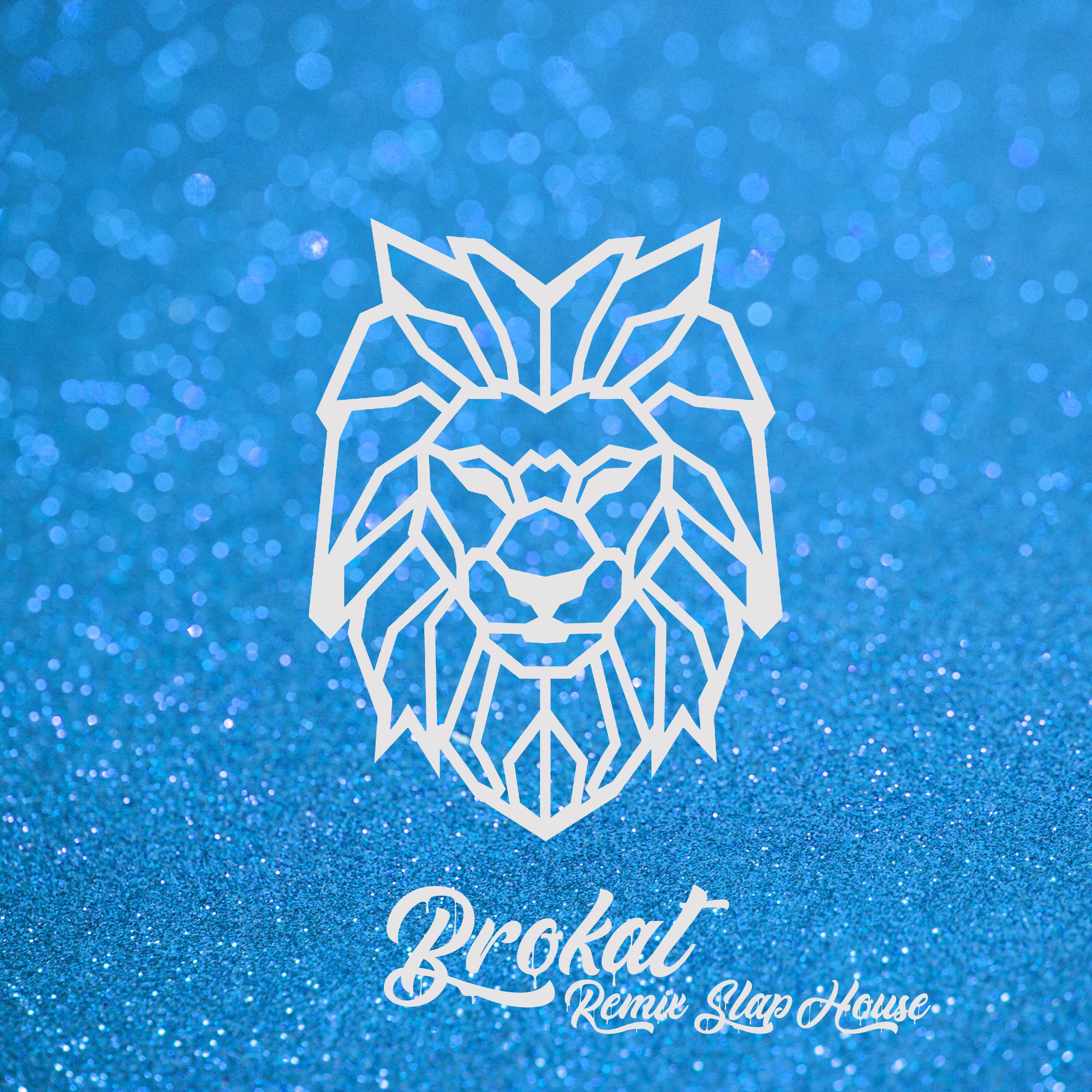 Постер альбома Brokat