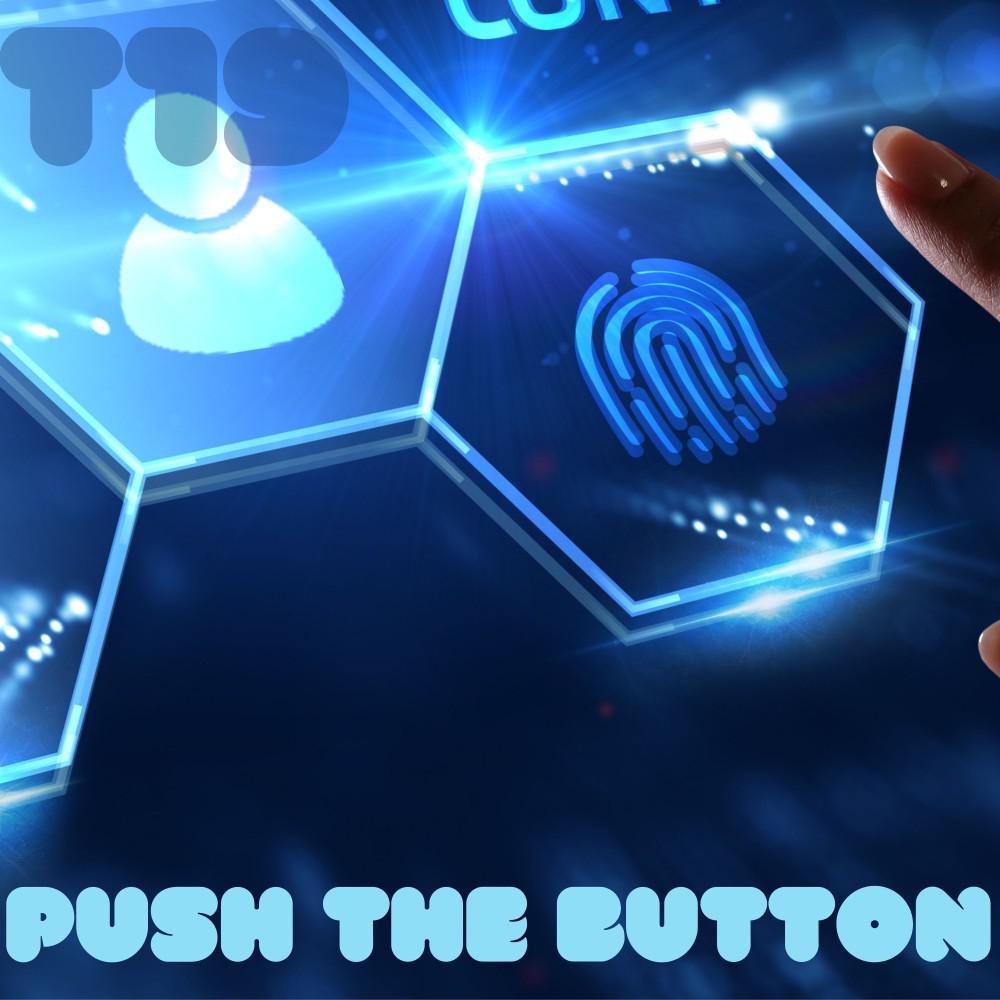 Постер альбома Push the Button