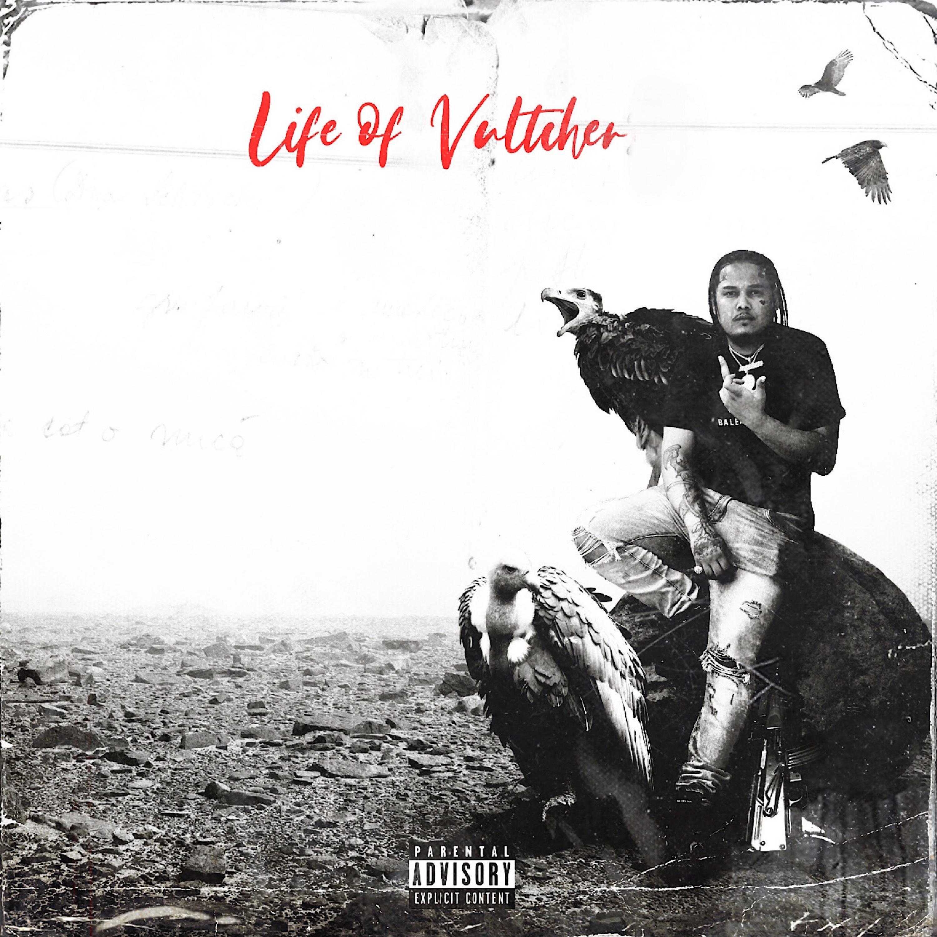 Постер альбома Life of Vultcher