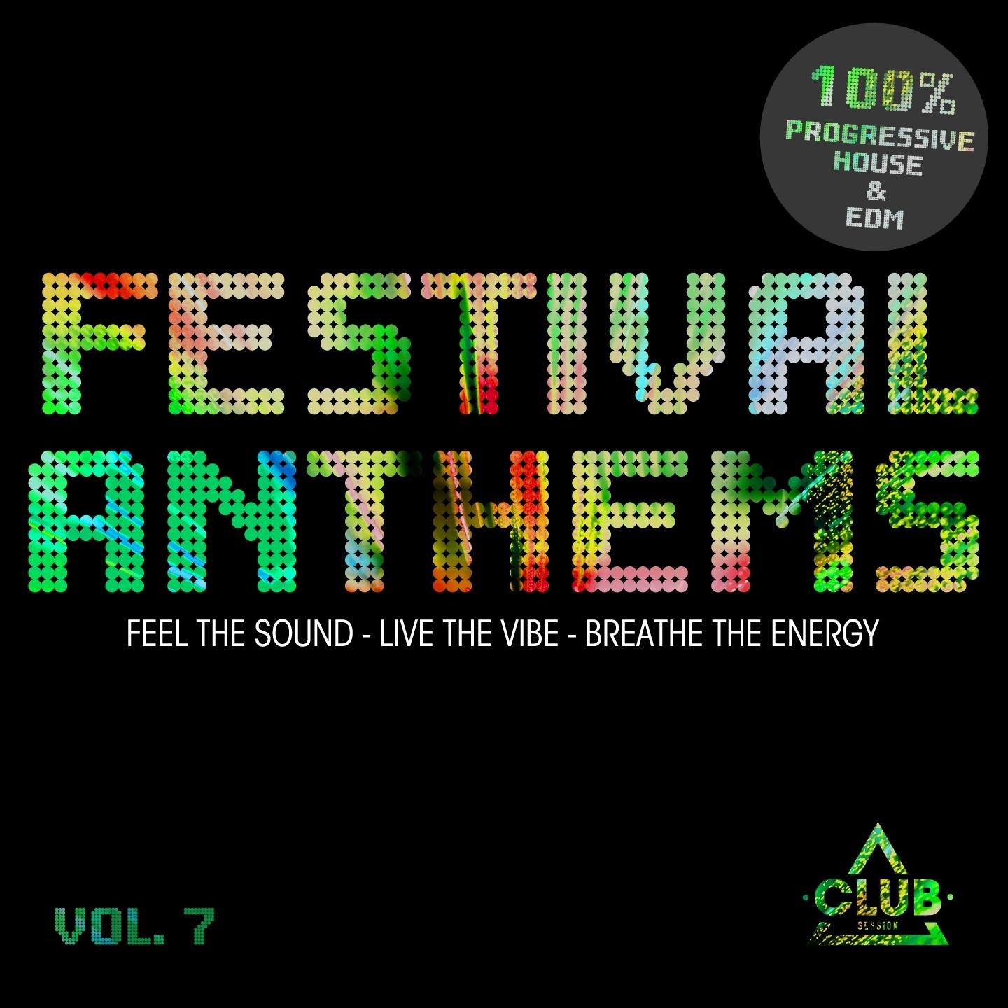 Постер альбома Festival Anthems, Vol. 7