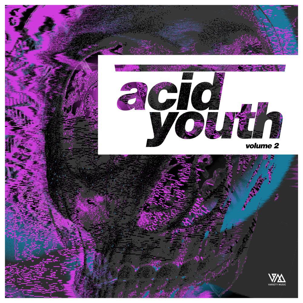 Постер альбома Acid Youth, Vol. 2