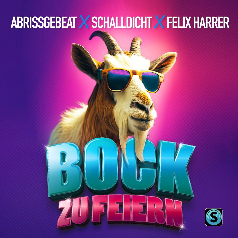 Постер альбома Bock zu feiern