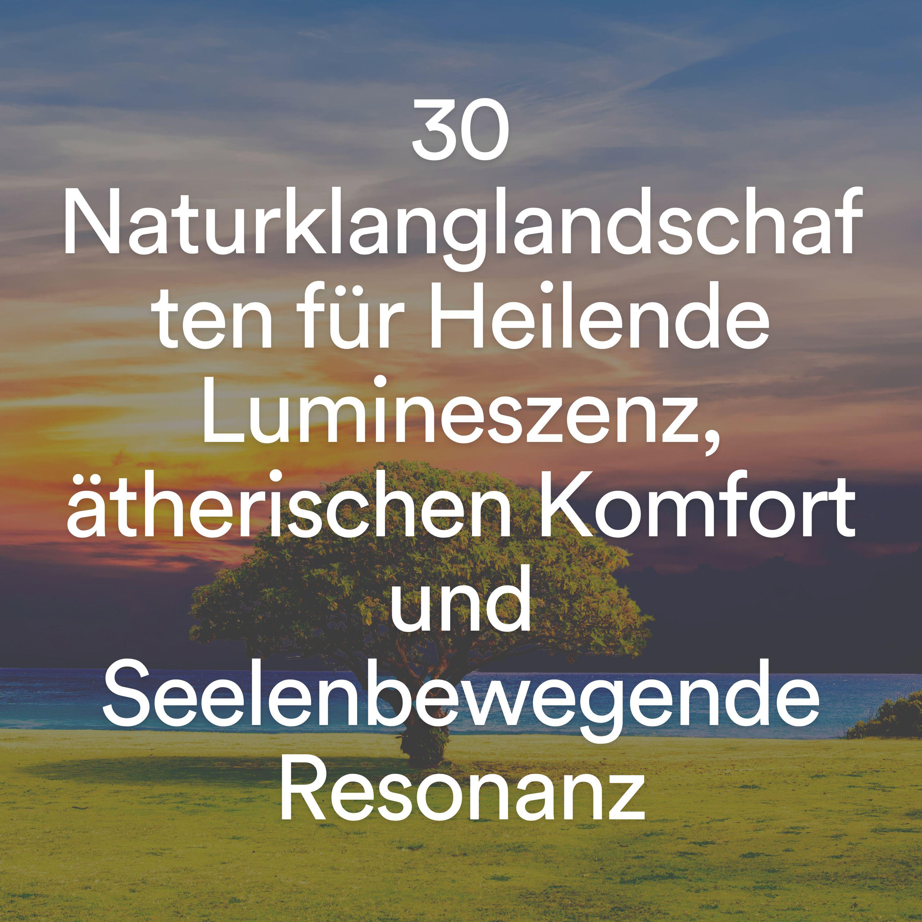 Постер альбома 30 naturklanglandschaften für heilende lumineszenz, ätherischen komfort und seelenbewegende resonanz