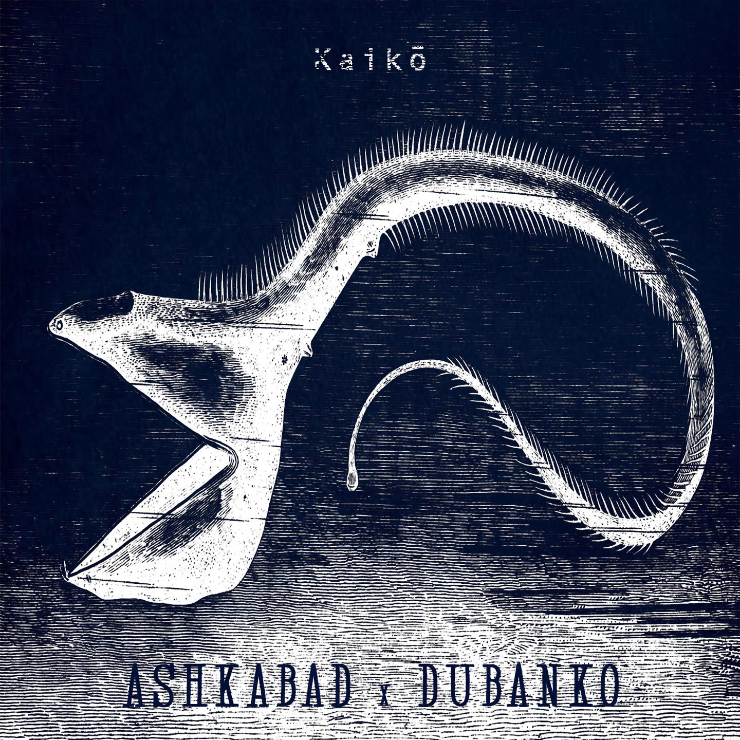 Постер альбома Kaikō