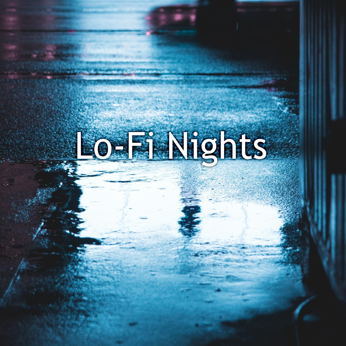 Постер альбома Lo-Fi Nights