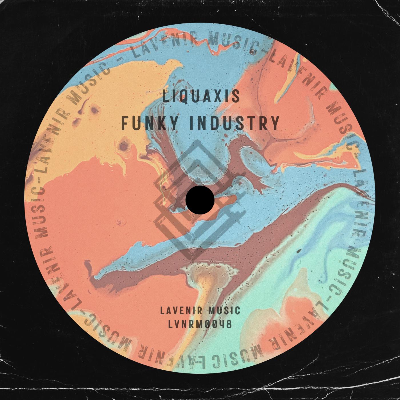 Постер альбома Funky Industry