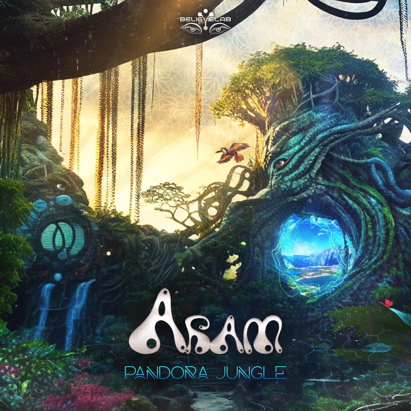 Постер альбома Pandora Jungle