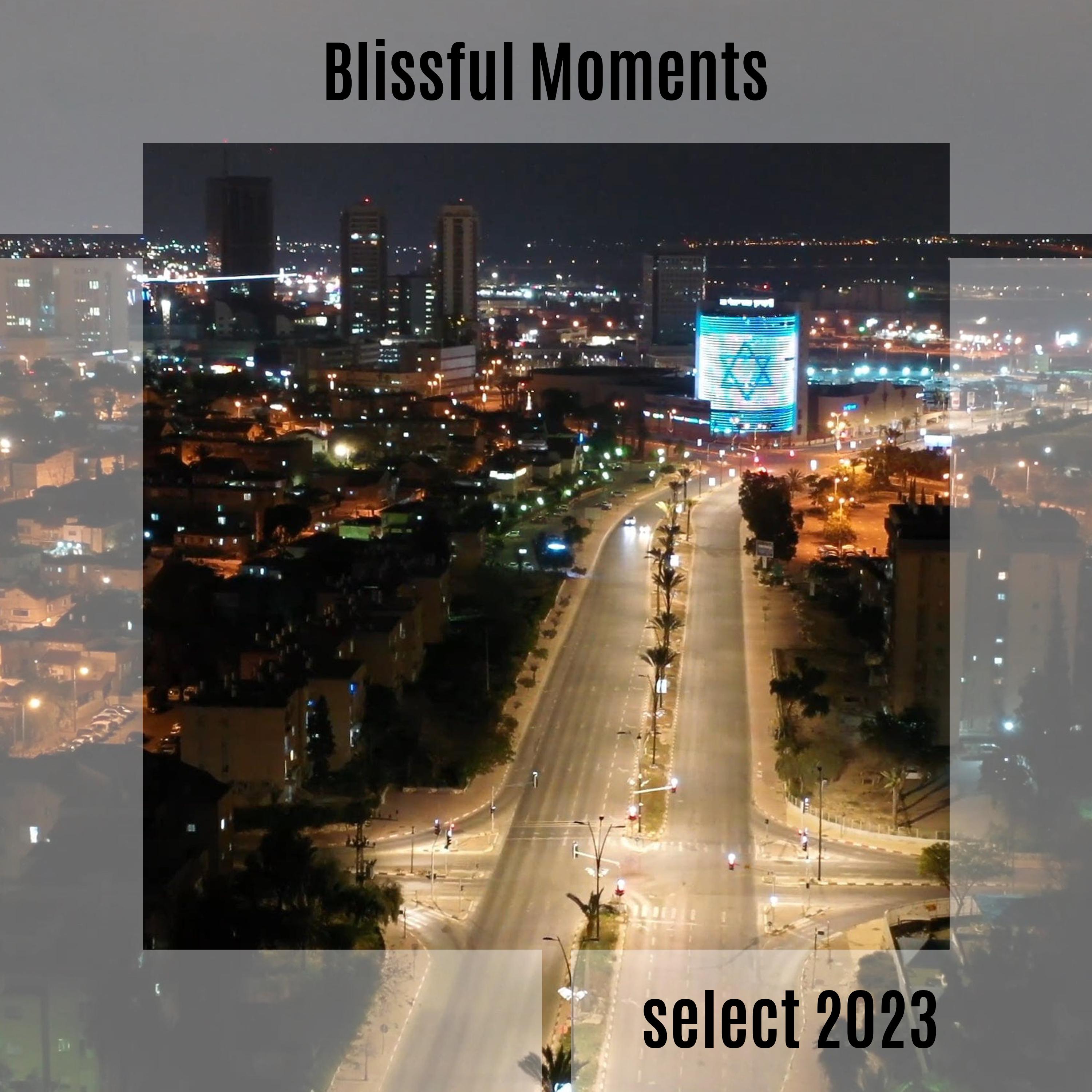 Постер альбома Blissful Moments Select 2023
