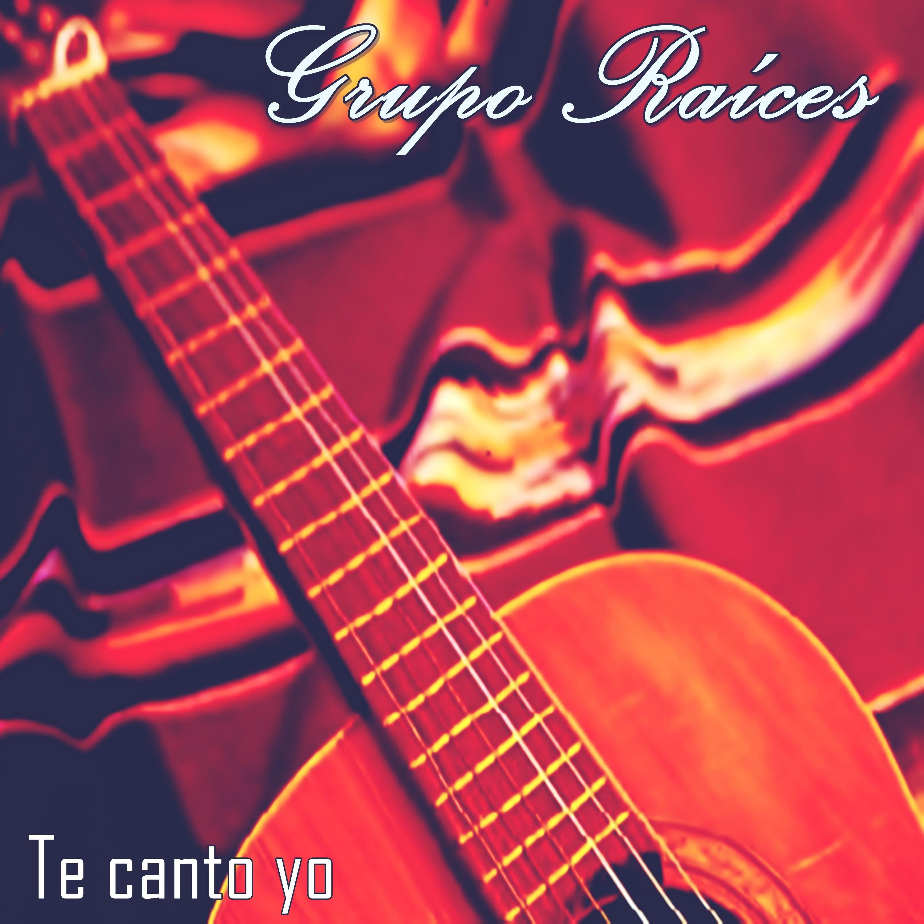 Постер альбома Te Canto Yo