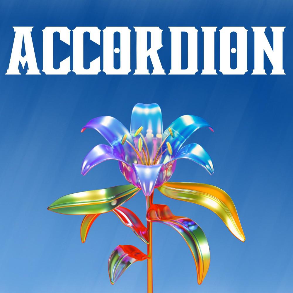 Постер альбома Accordion