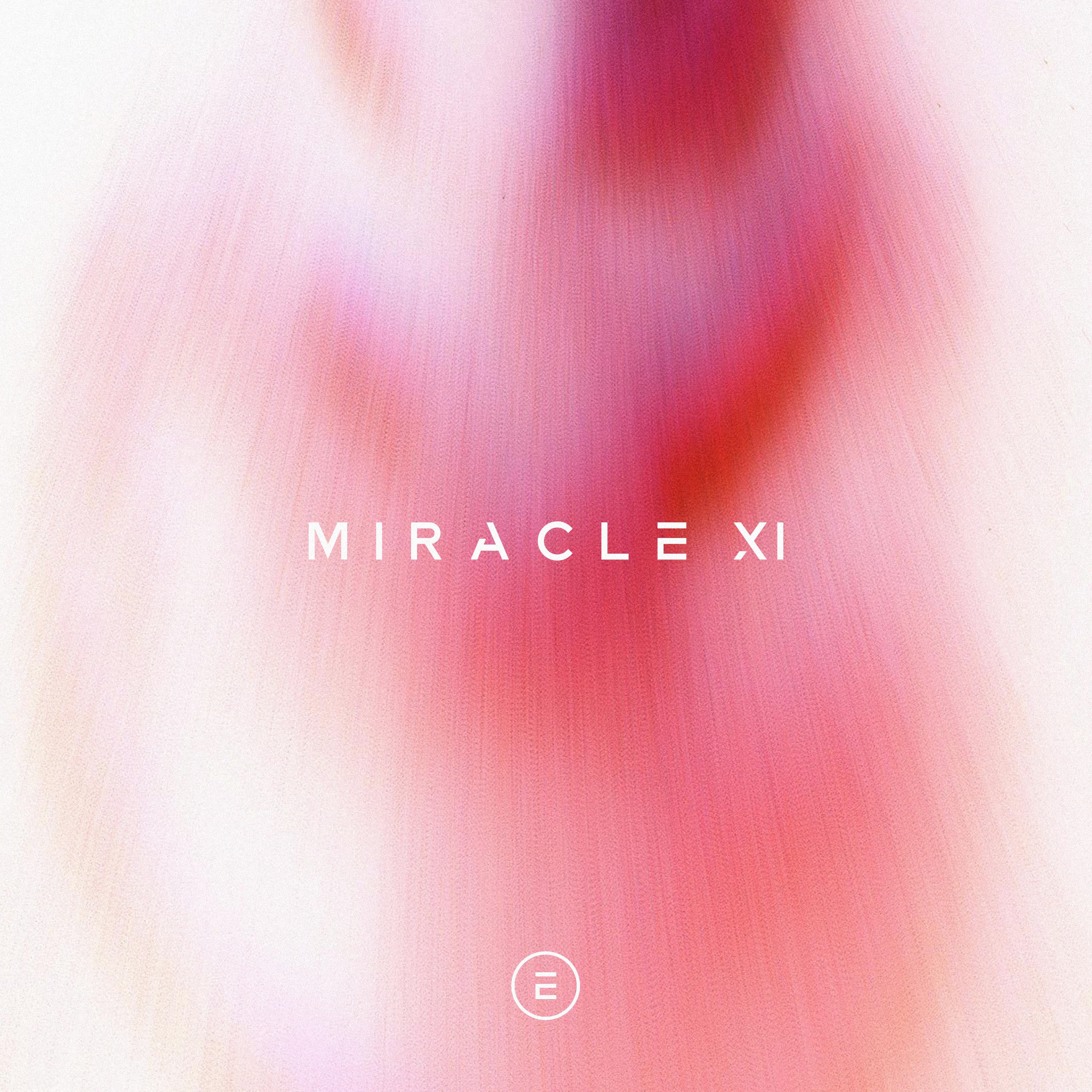 Постер альбома Miracle XI