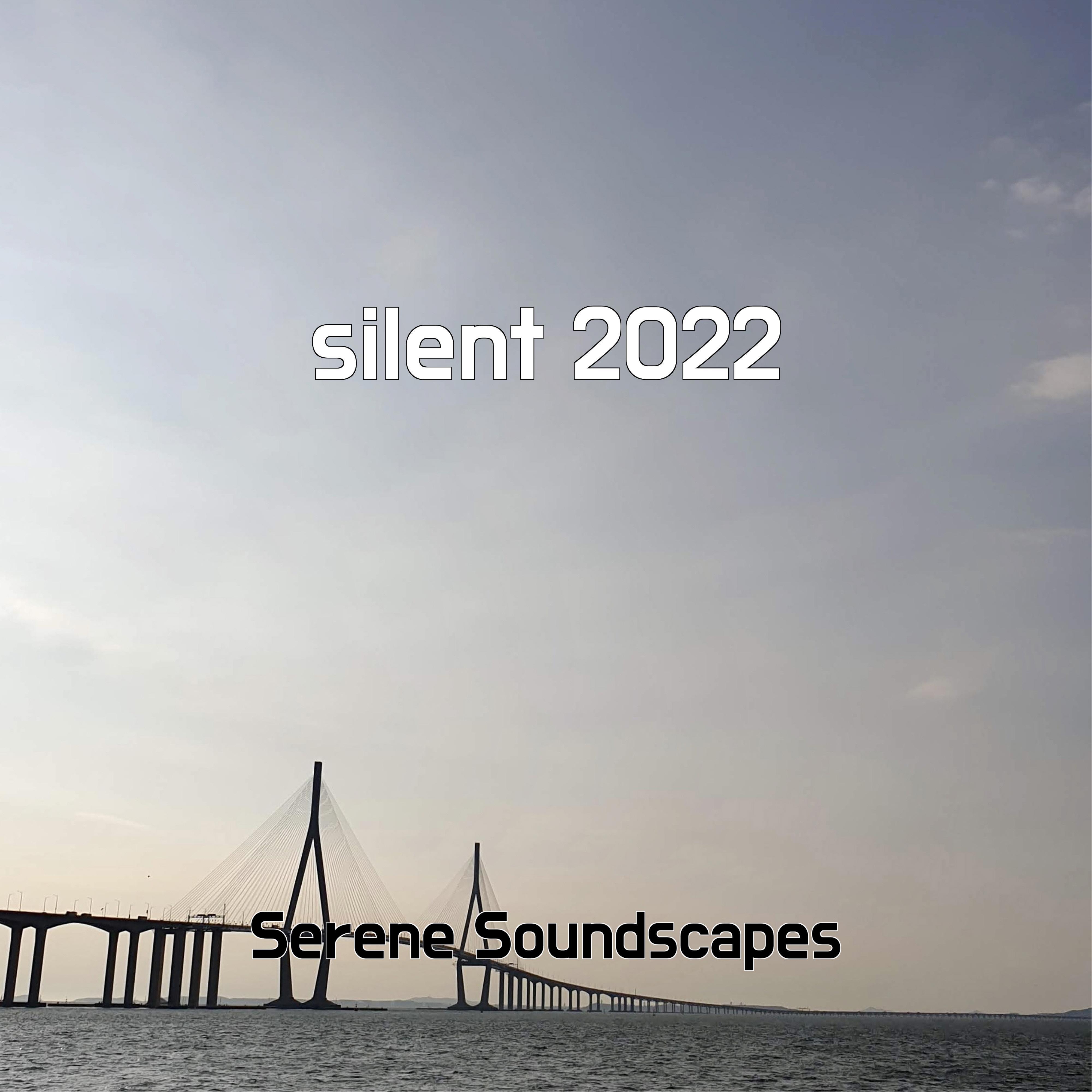 Постер альбома silent 2022
