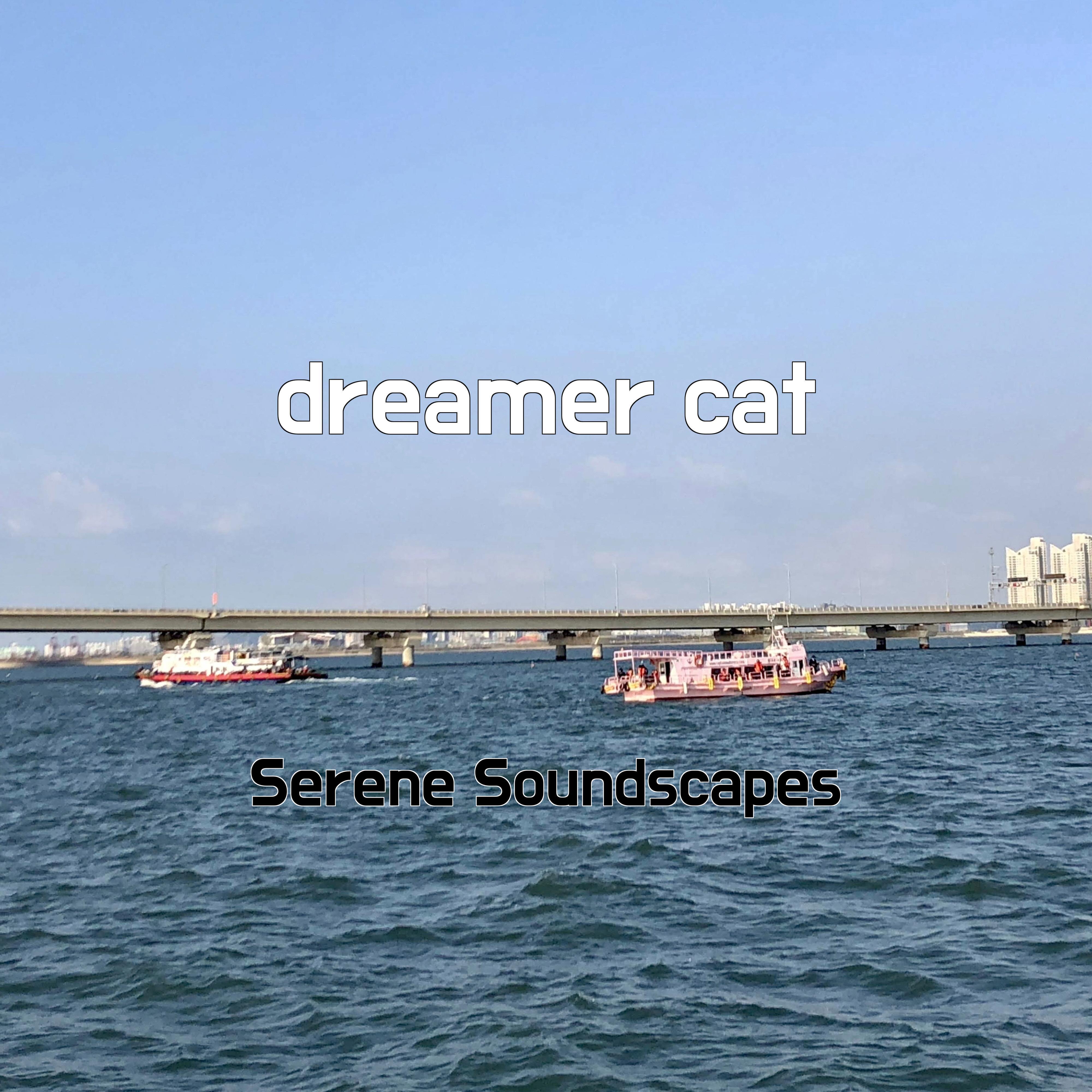 Постер альбома dreamer cat