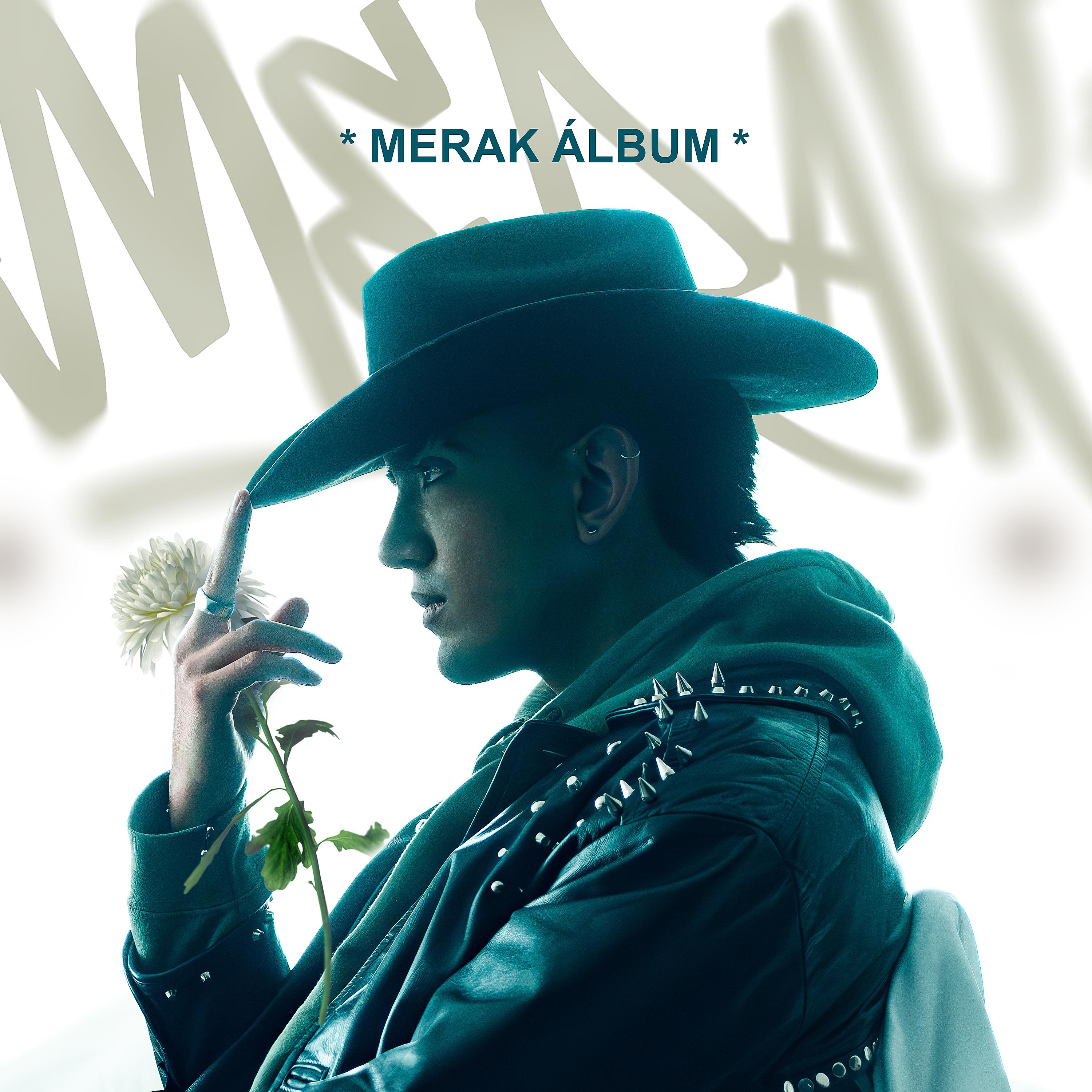 Постер альбома MERAK