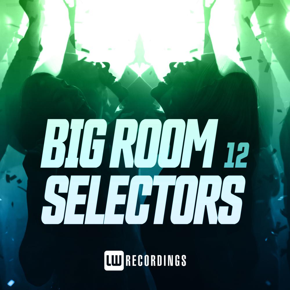 Постер альбома Big Room Selectors, 12