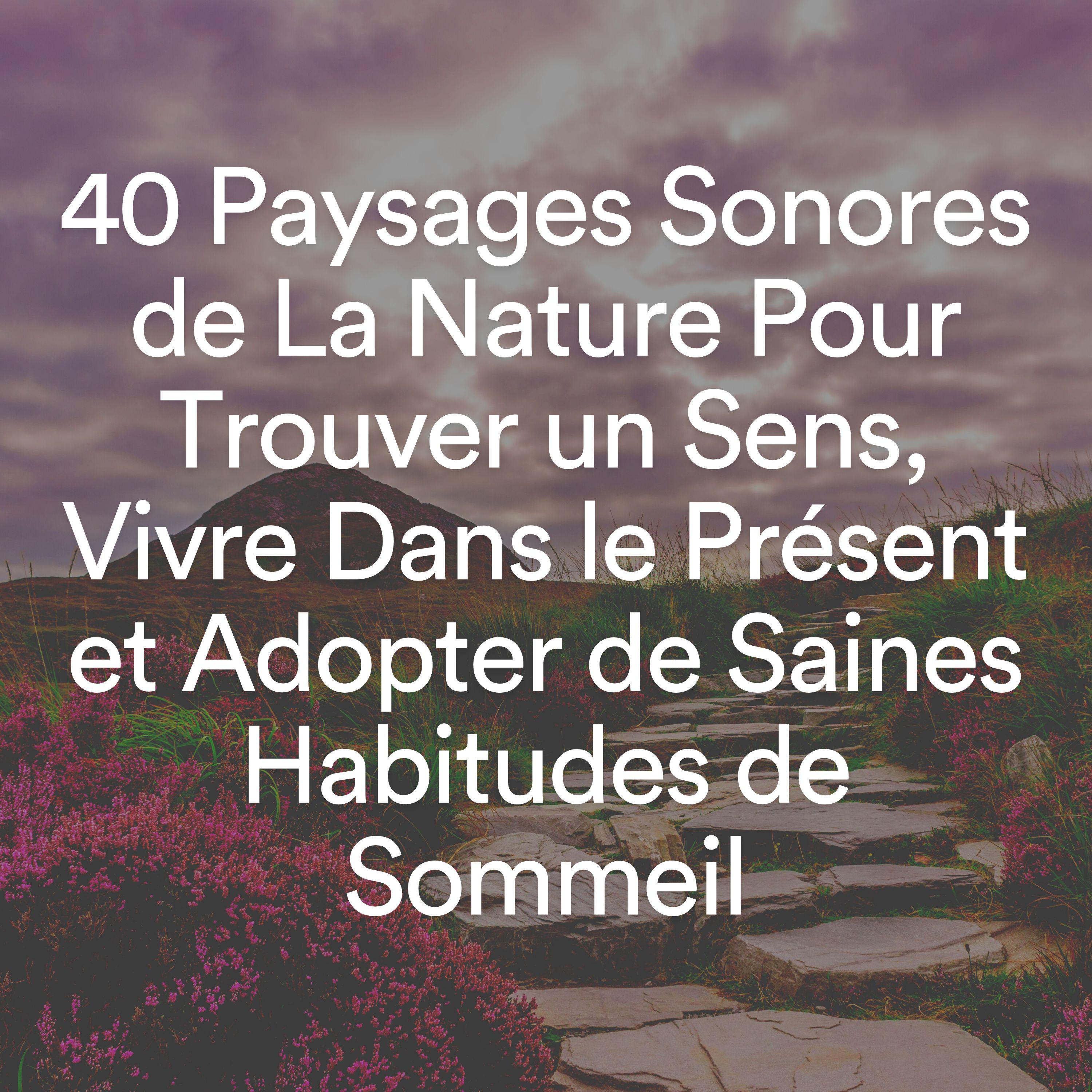Постер альбома 40 Paysages Sonores de La Nature Pour Trouver un Sens, Vivre Dans le Présent et Adopter de Saines Habitudes de Sommeil