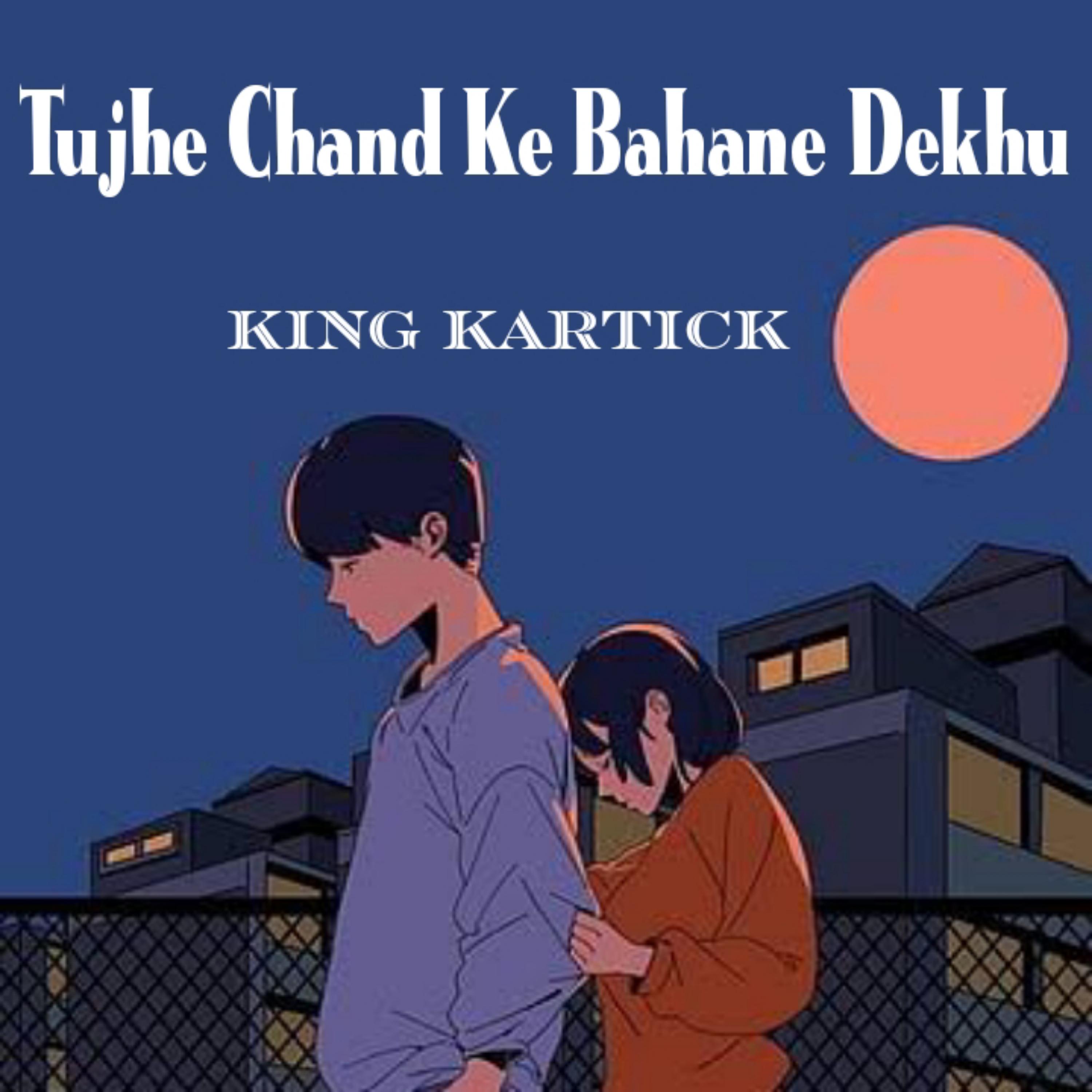 Постер альбома Tujhe Chand Ke Bahane Dekhu (Lofi)