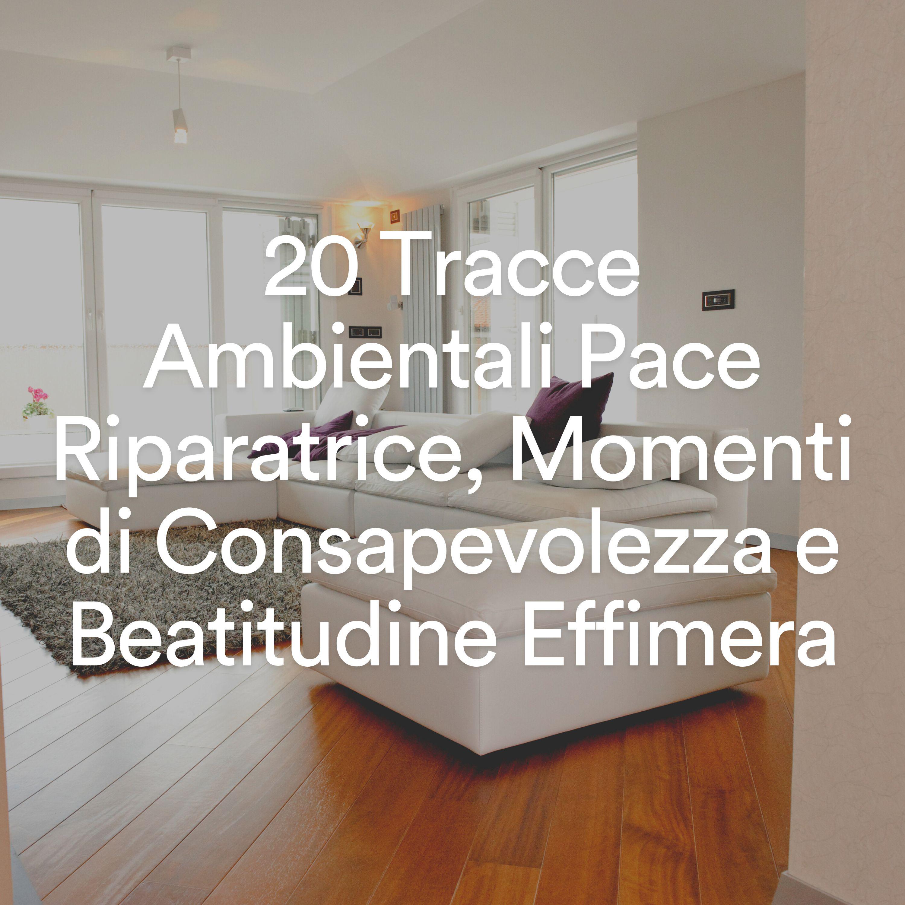 Постер альбома 20 Tracce Ambientali Pace Riparatrice, Momenti di Consapevolezza e Beatitudine Effimera