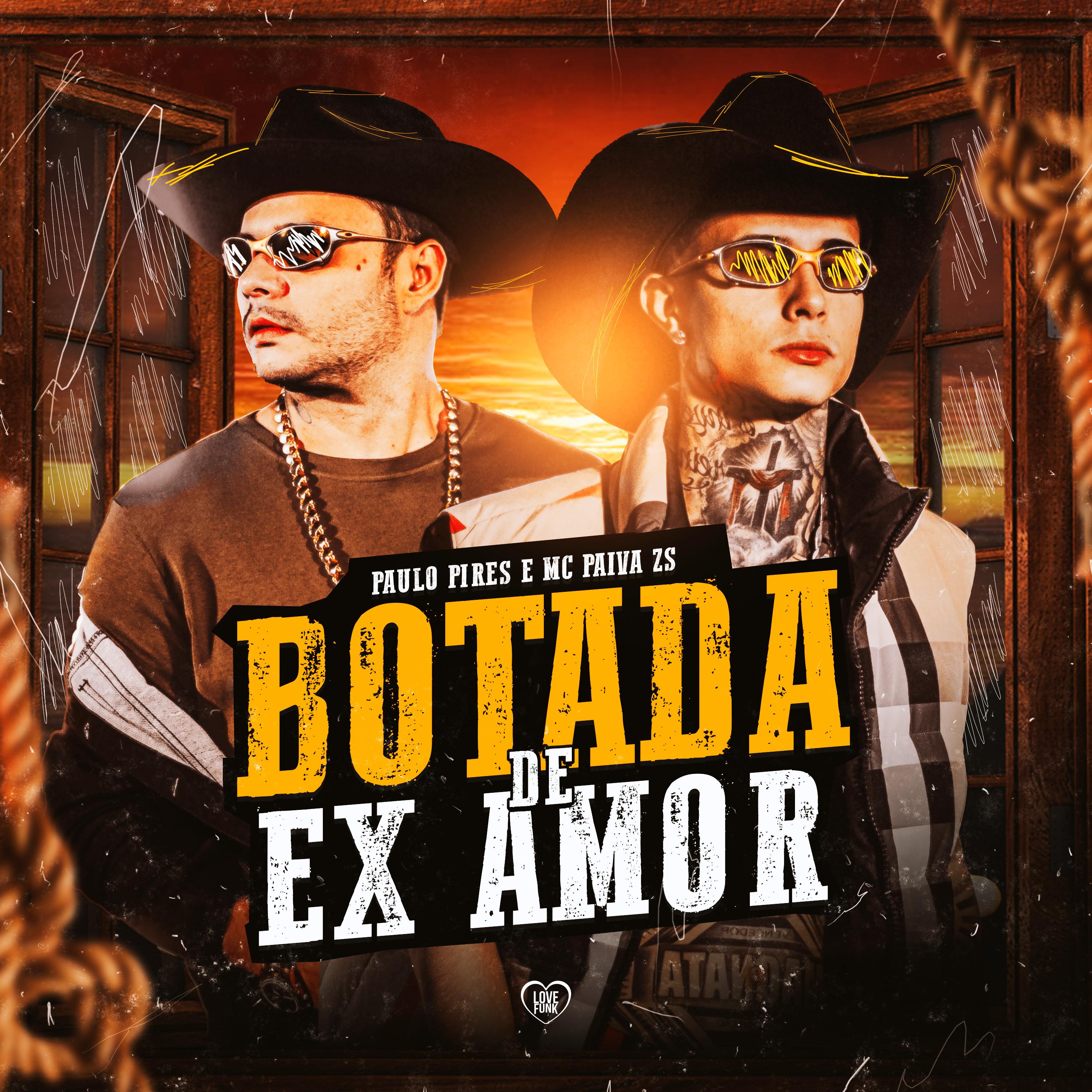 Постер альбома Botada de Ex Amor
