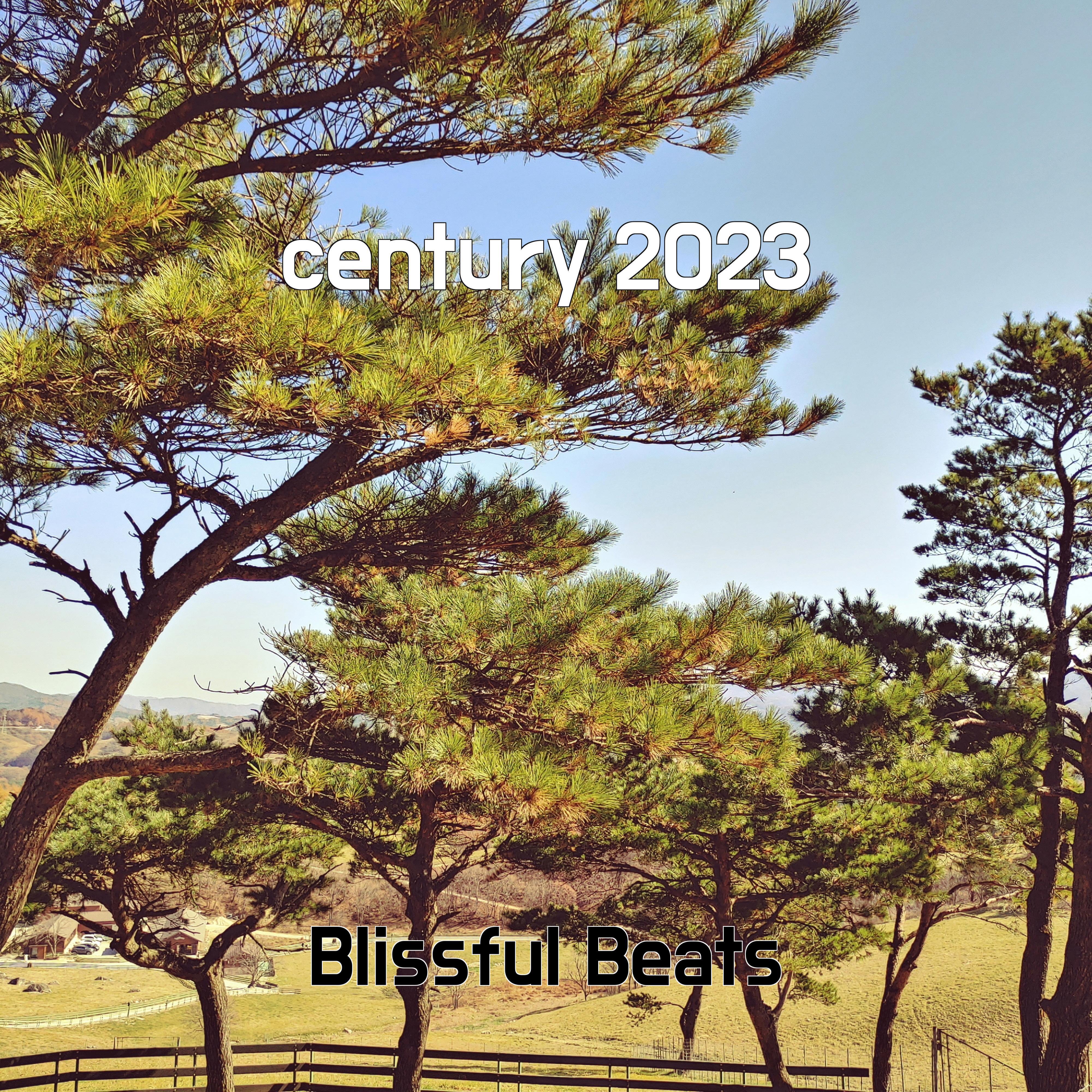 Постер альбома century 2023
