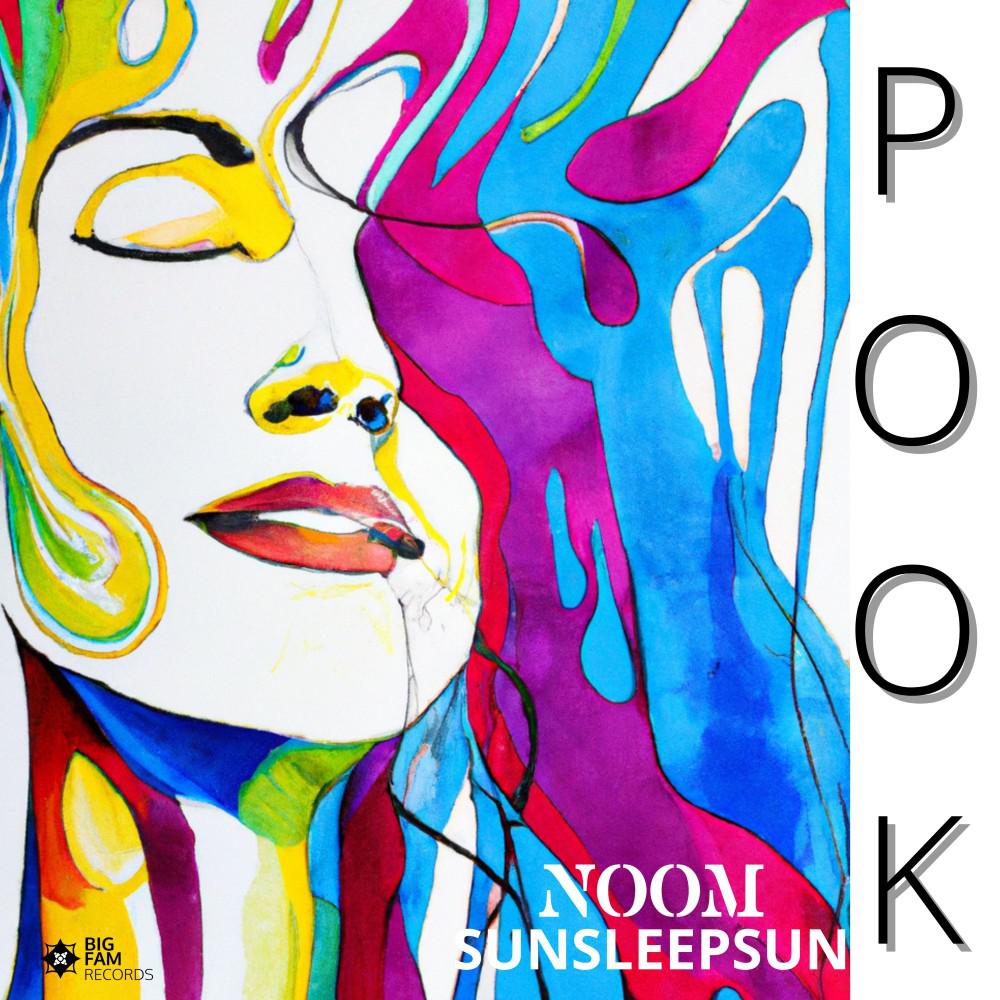 Постер альбома Pook (Instrumental)