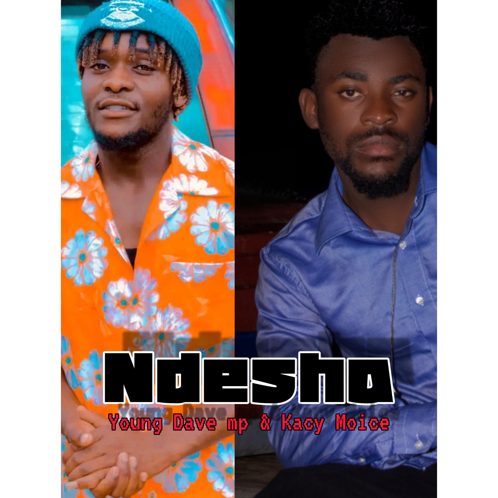 Постер альбома Ndesha (feat. Kacy Moice)