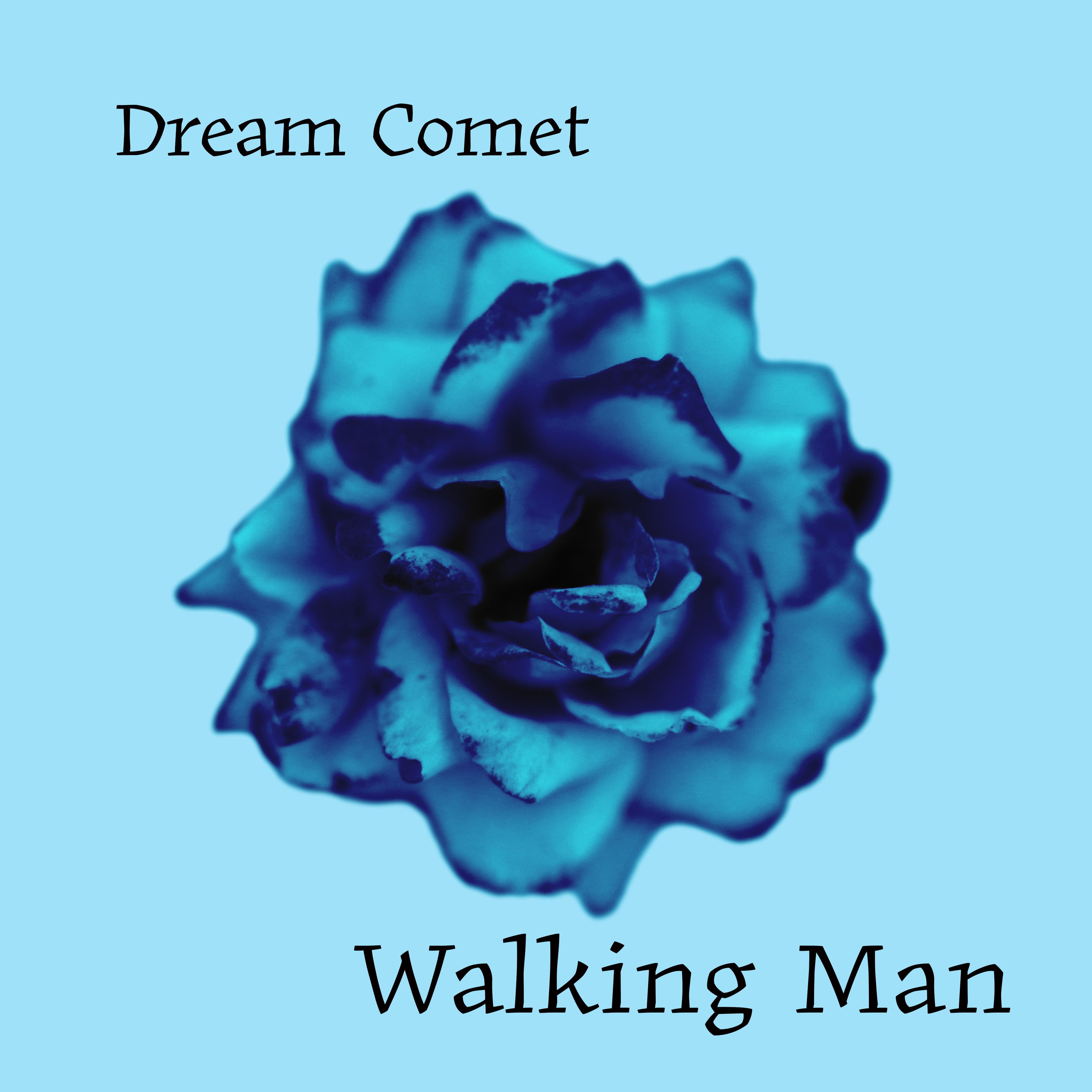 Постер альбома Walking Man